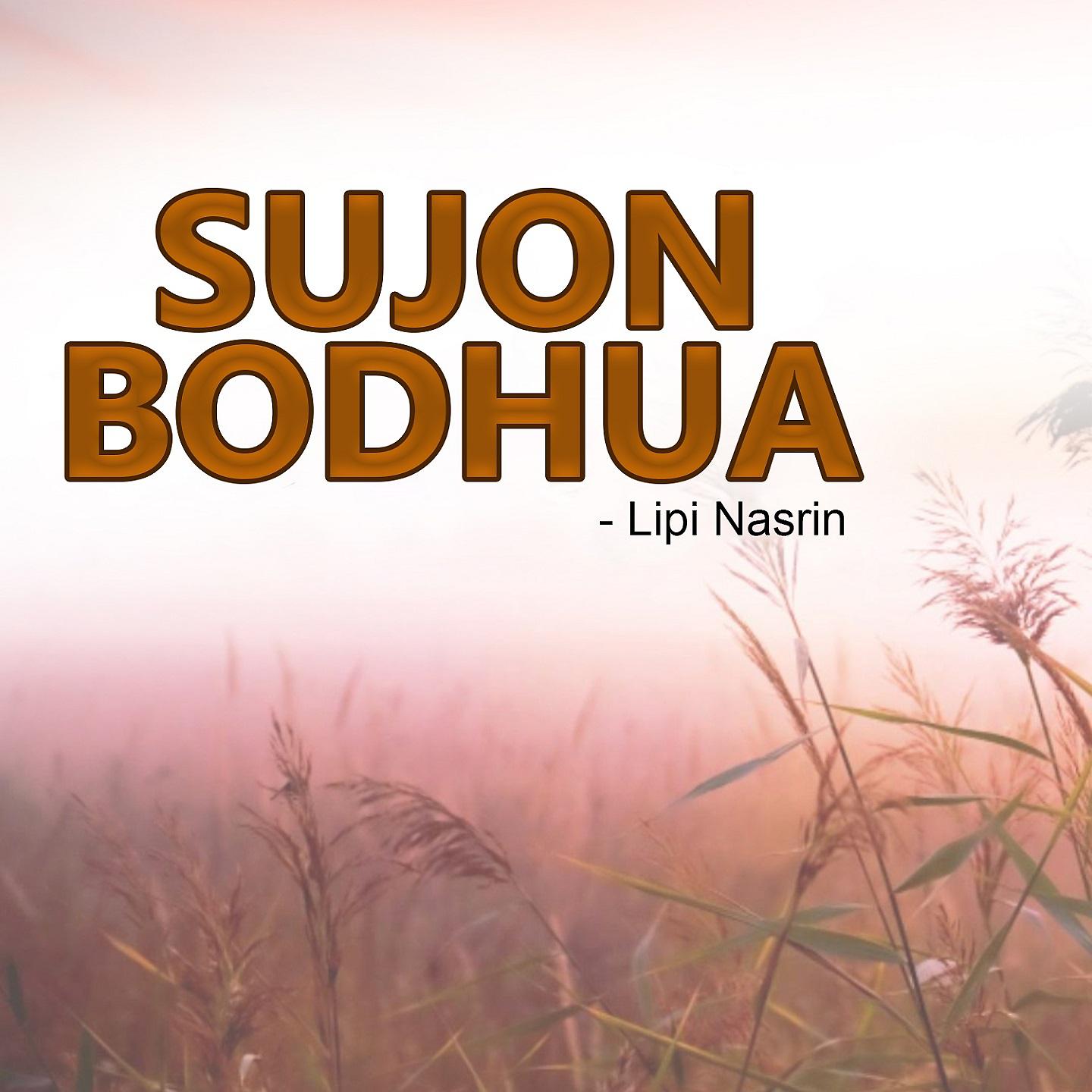Постер альбома Shujon Bodhua