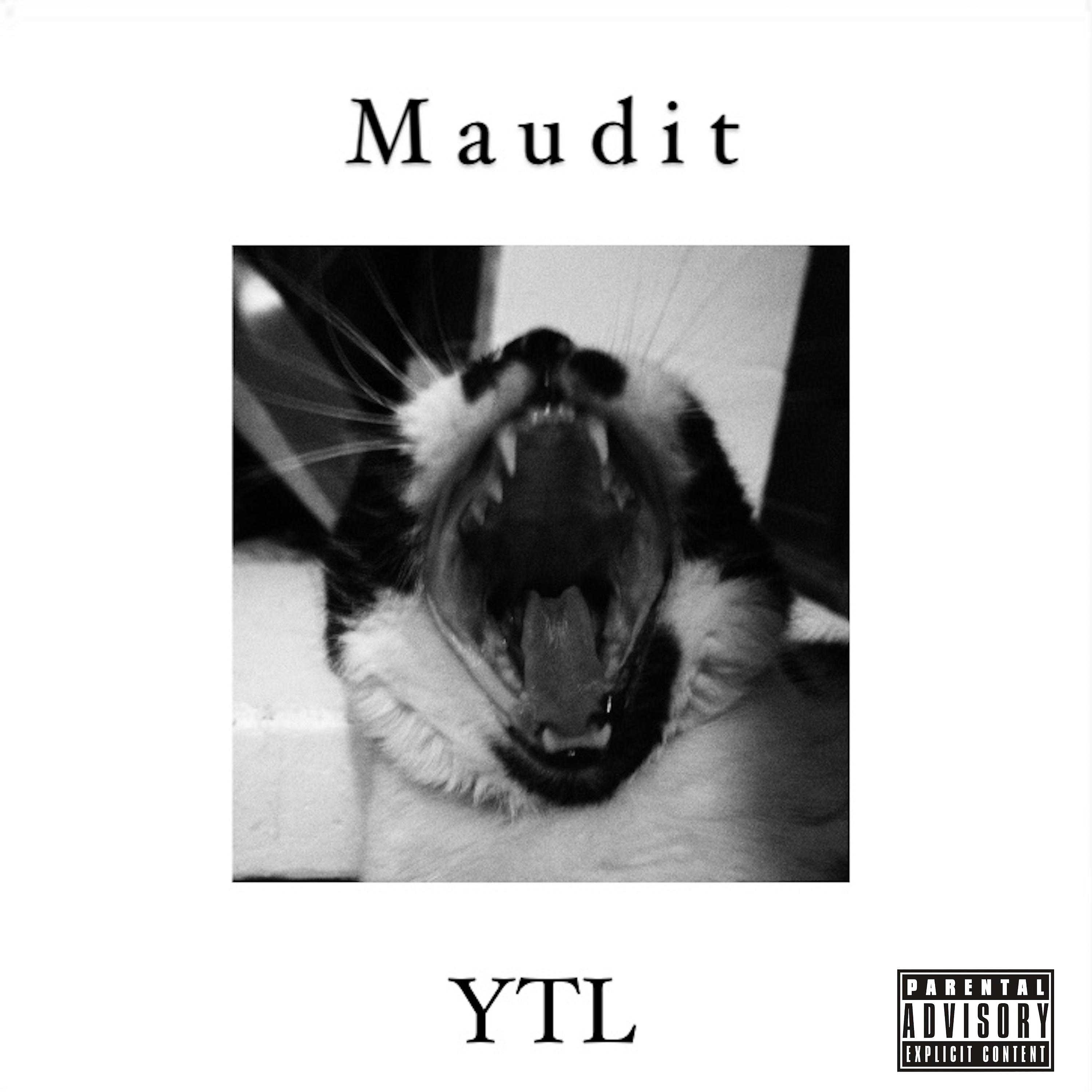 Постер альбома Maudit