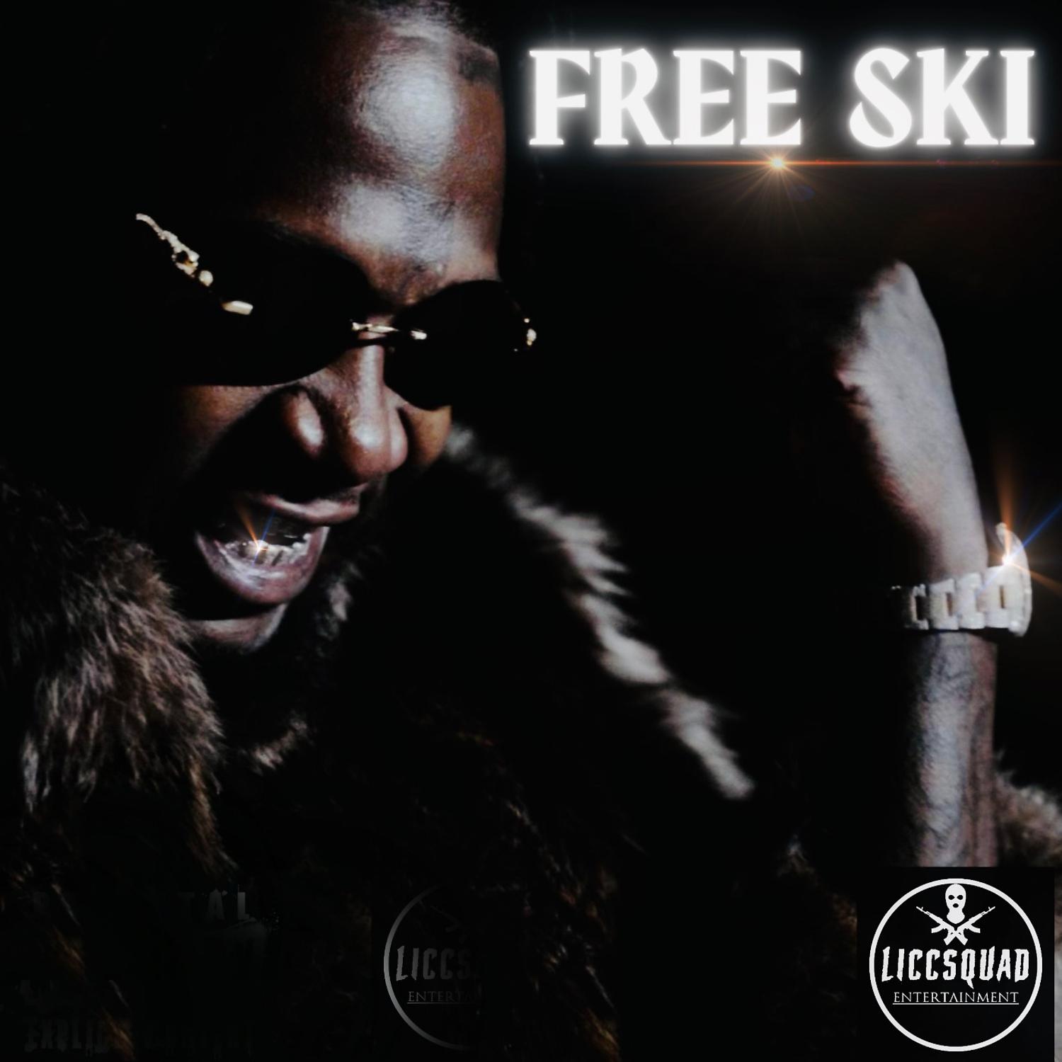 Постер альбома Free ski