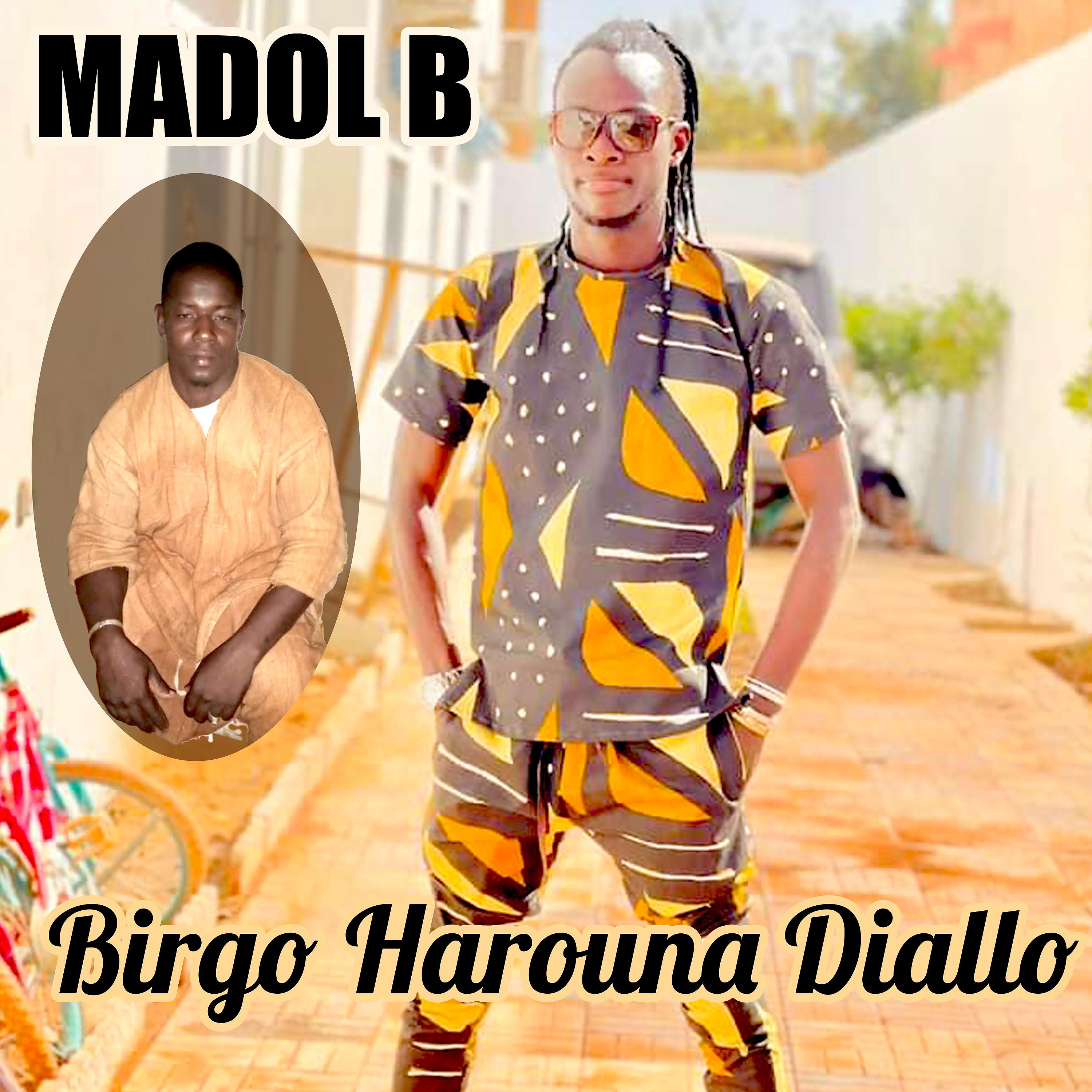 Постер альбома Birgo Harouna Diallo