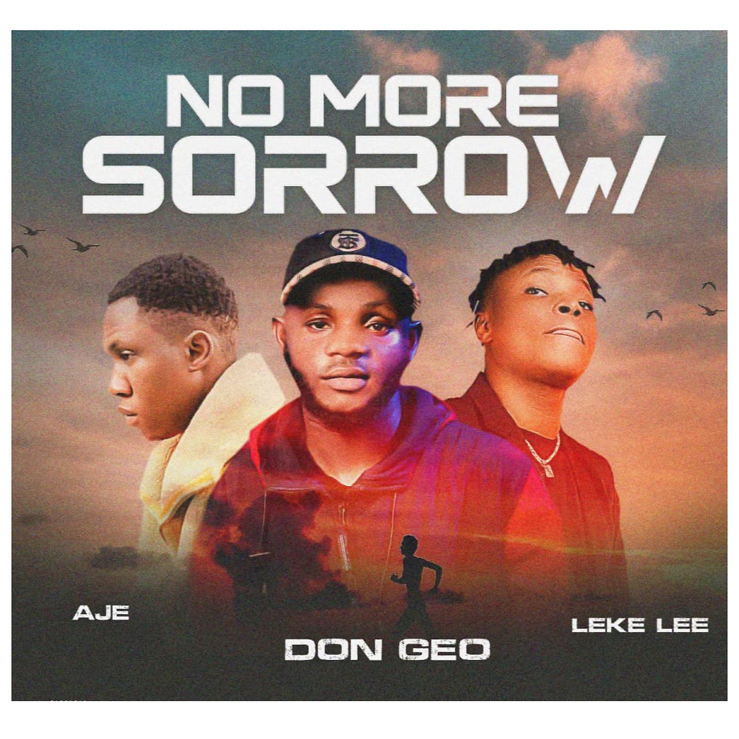 Постер альбома No More Sorrow