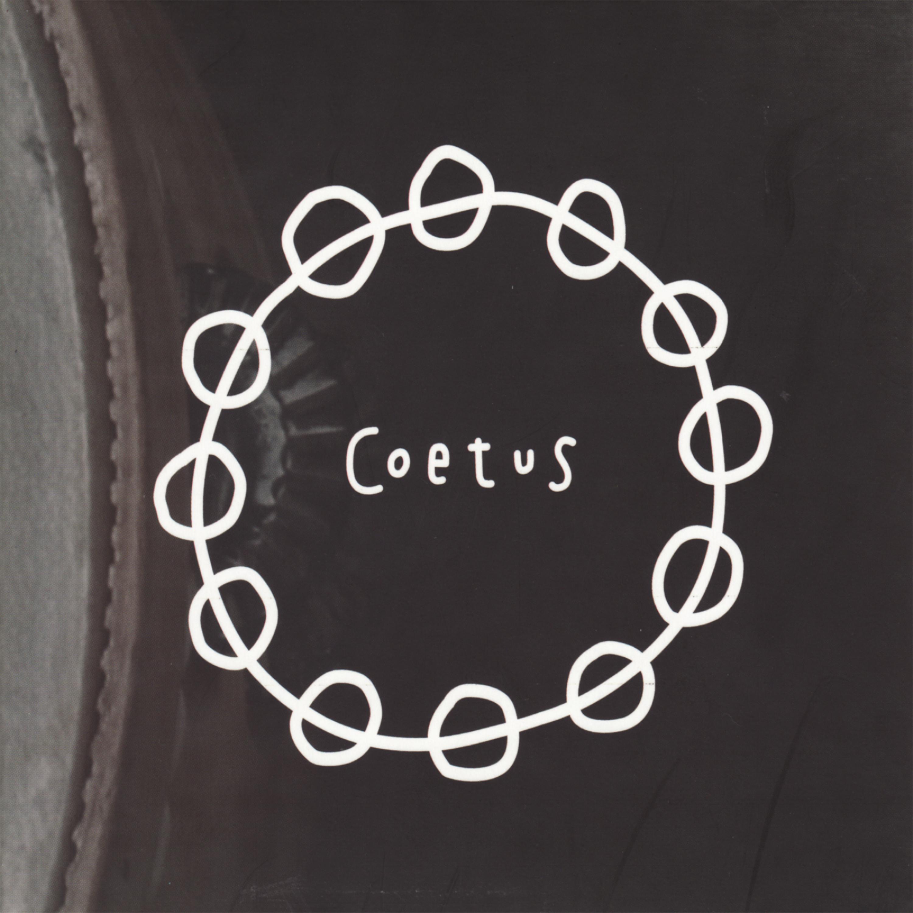 Постер альбома Coetus