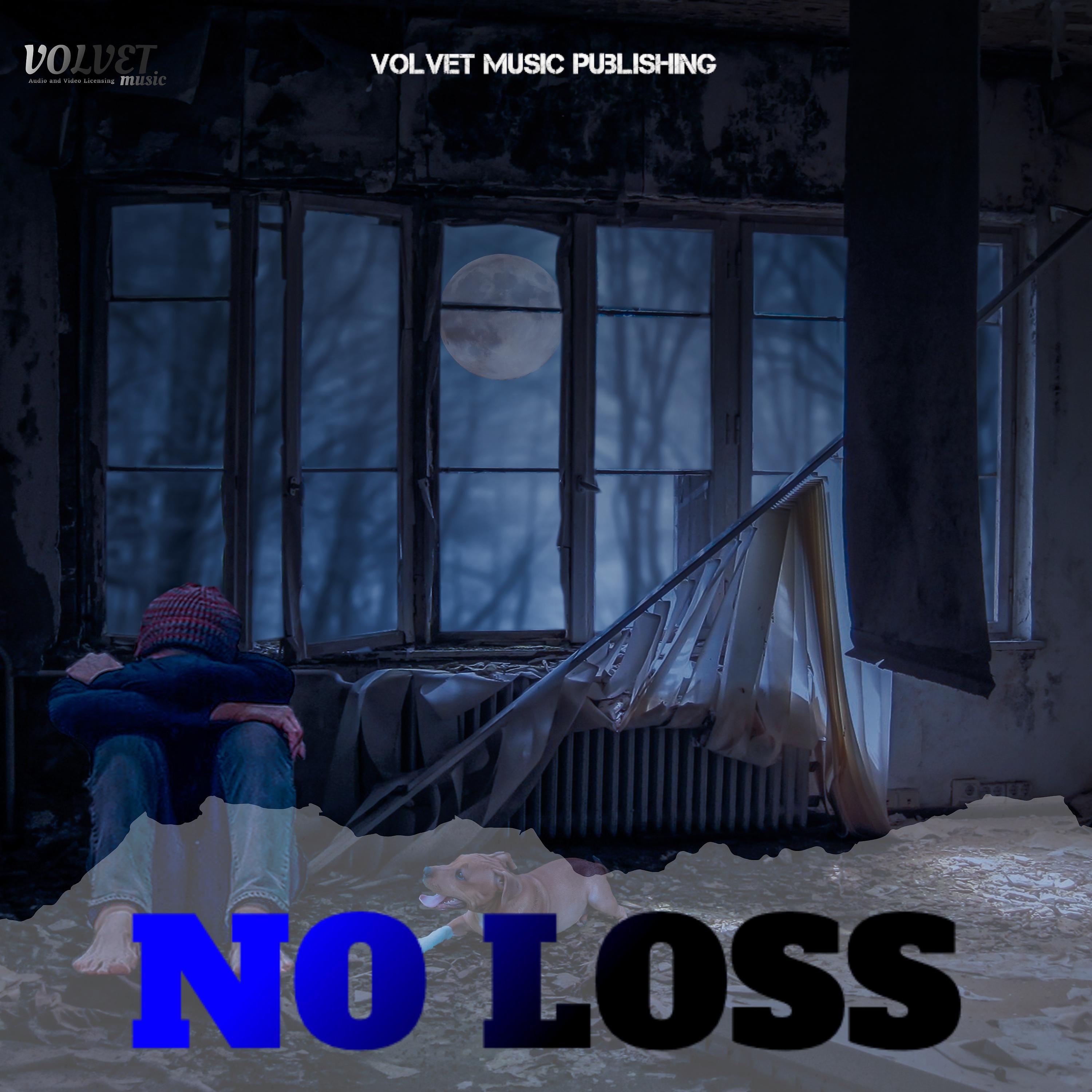 Постер альбома No Loss
