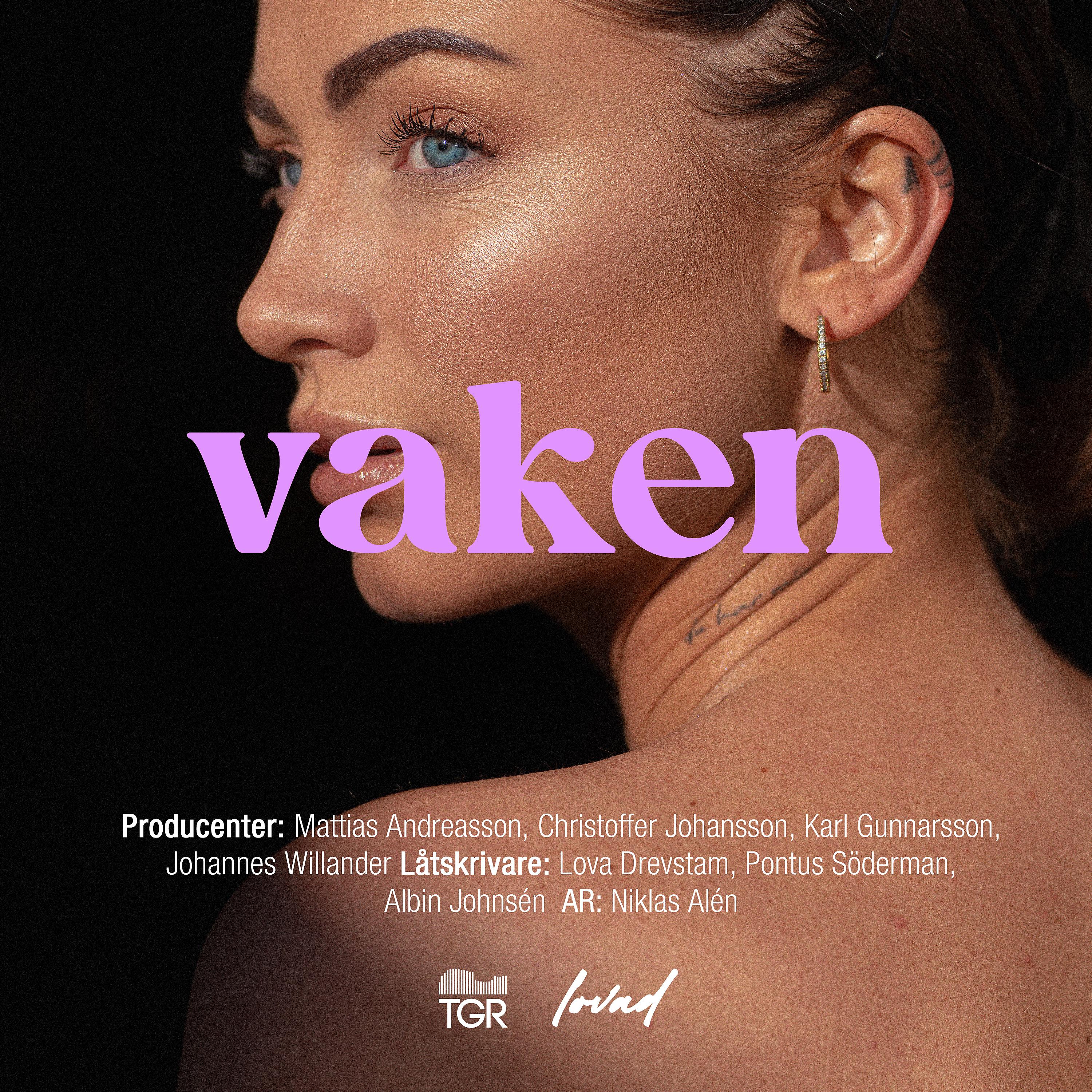 Постер альбома Vaken