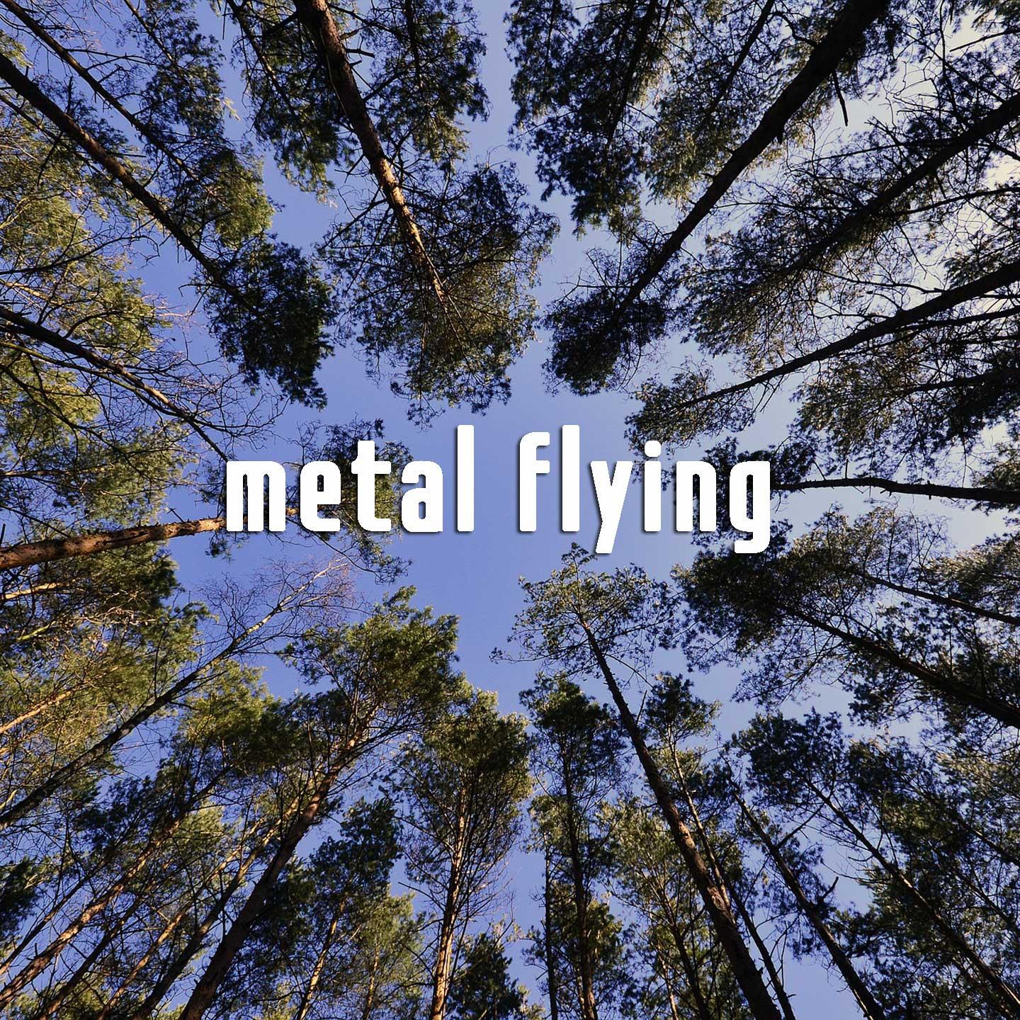 Постер альбома Metal Flying