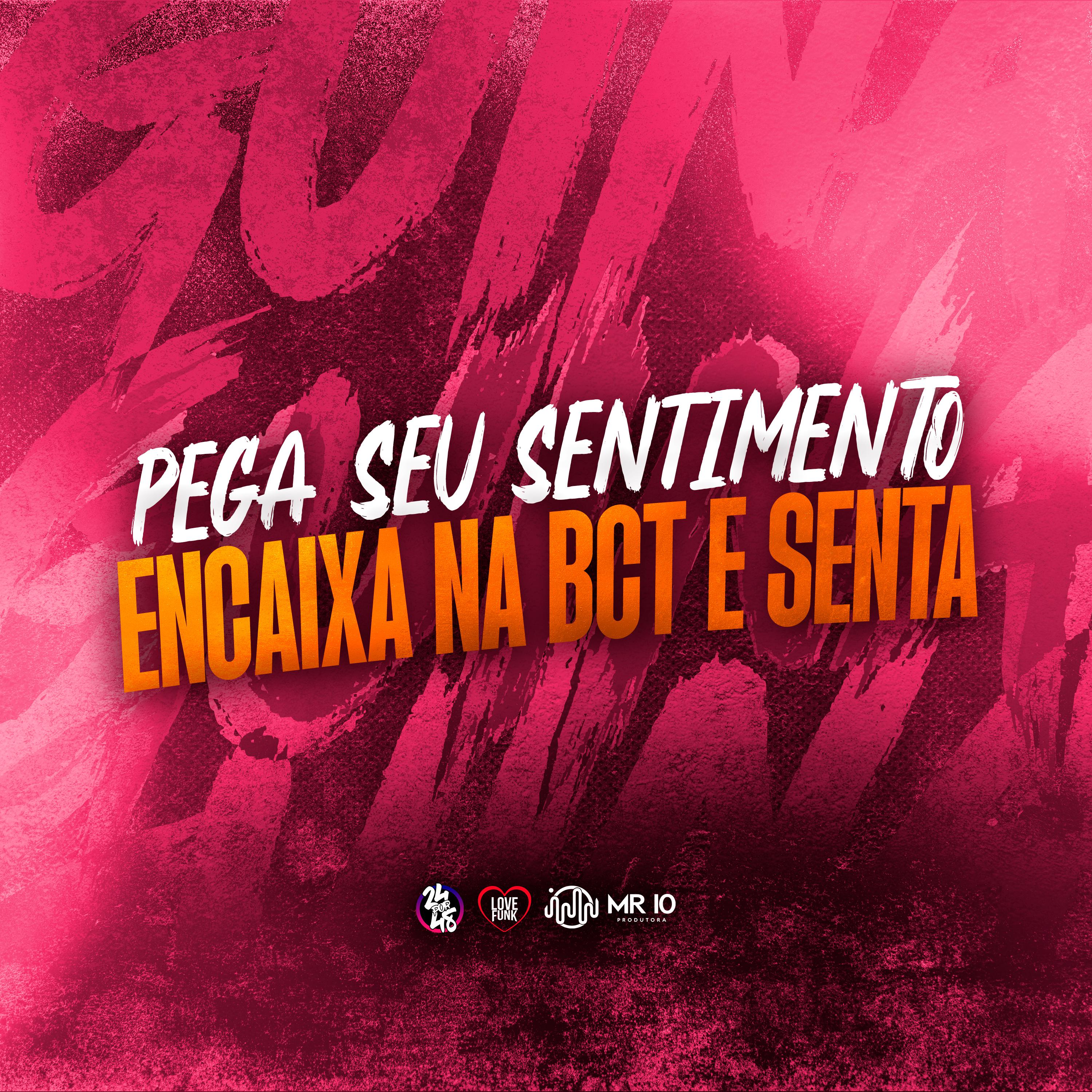 Постер альбома Pega Seu Sentimento Encaixa na Bct e Senta