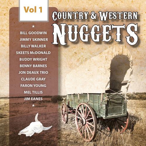 Постер альбома Country & Western Nuggets, Vol. 1