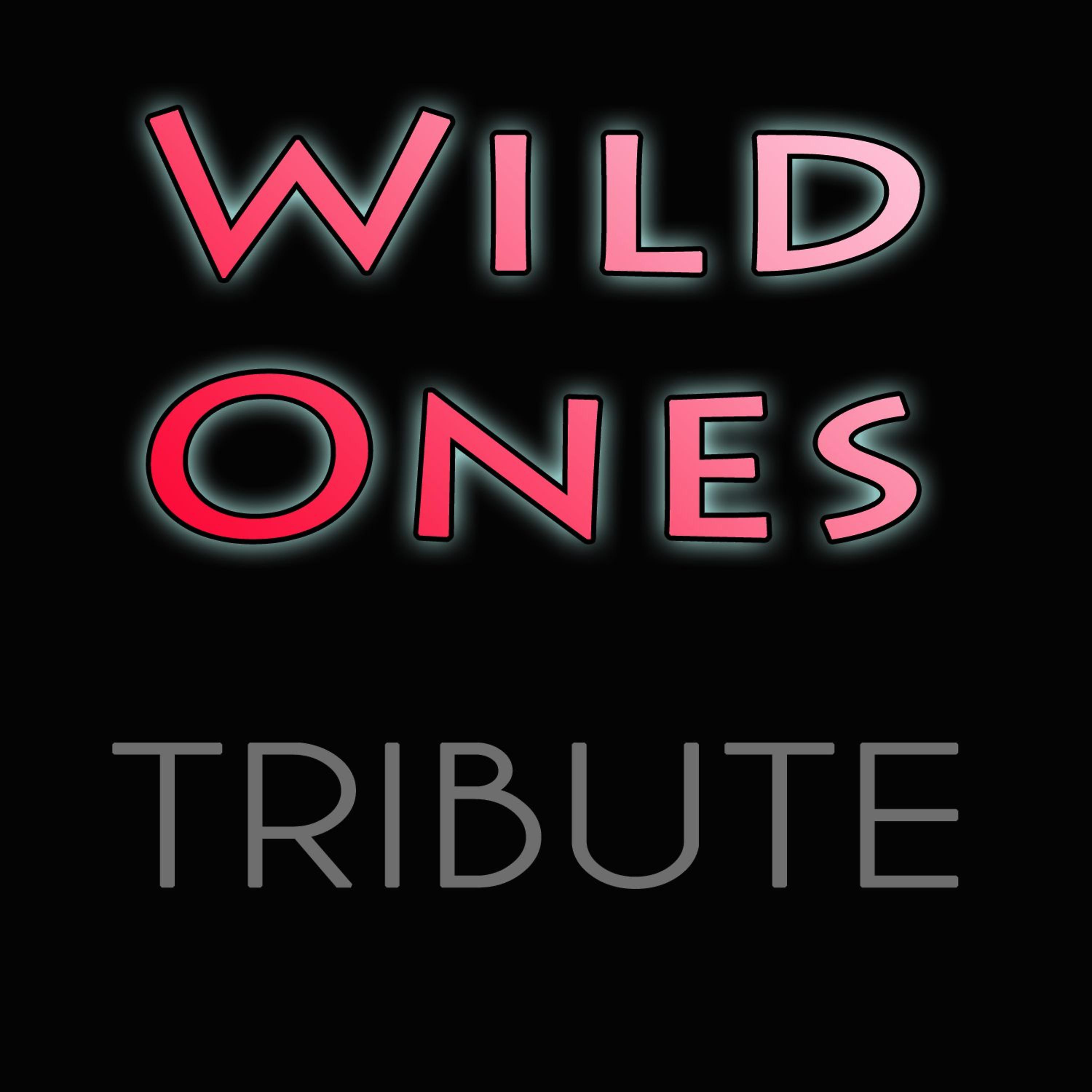 Постер альбома Wild Ones (feat. Sia)
