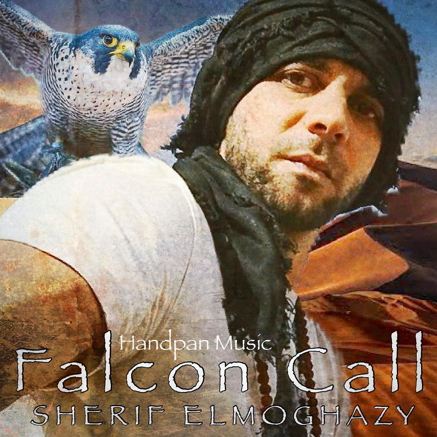 Постер альбома Falcon Call (Handpan Music)