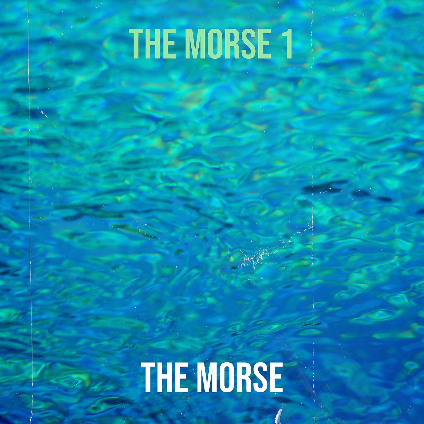 Постер альбома The Morse 1