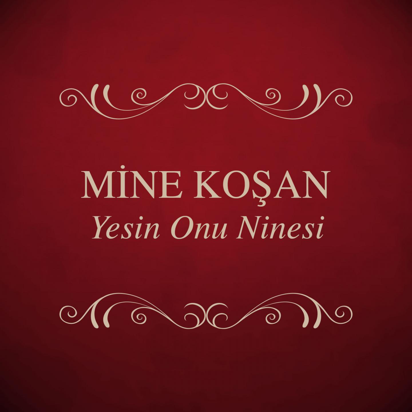 Постер альбома Yesin Onu Ninesi