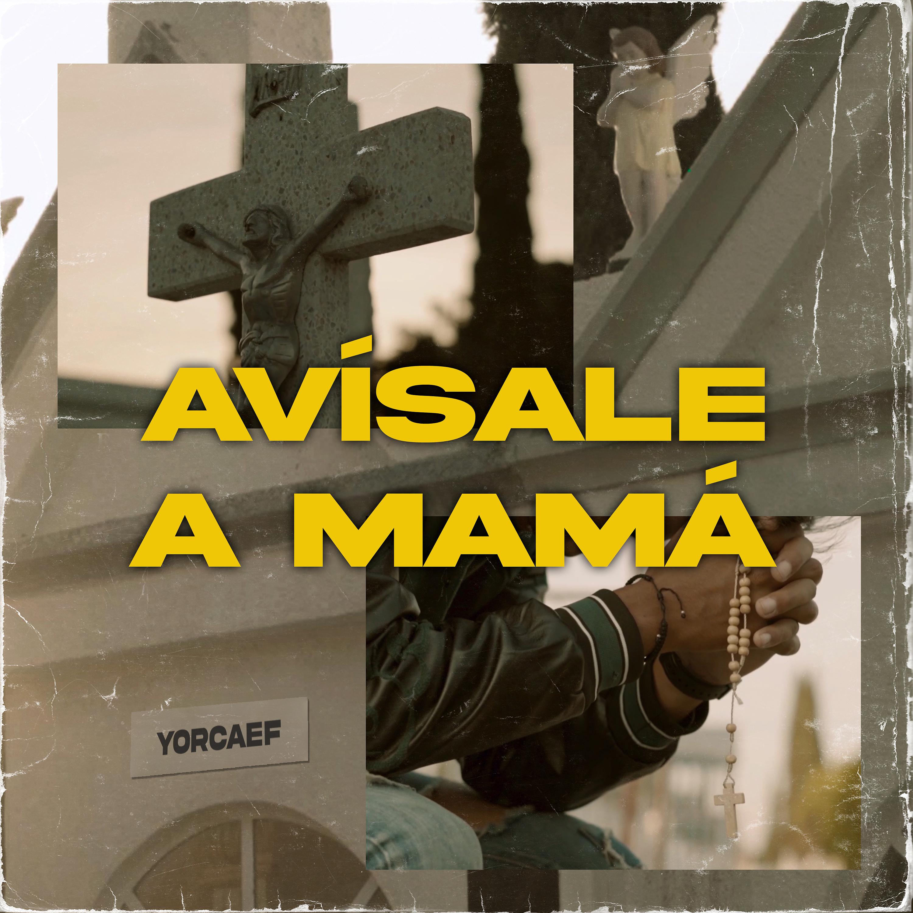 Постер альбома Avísale a Mamá