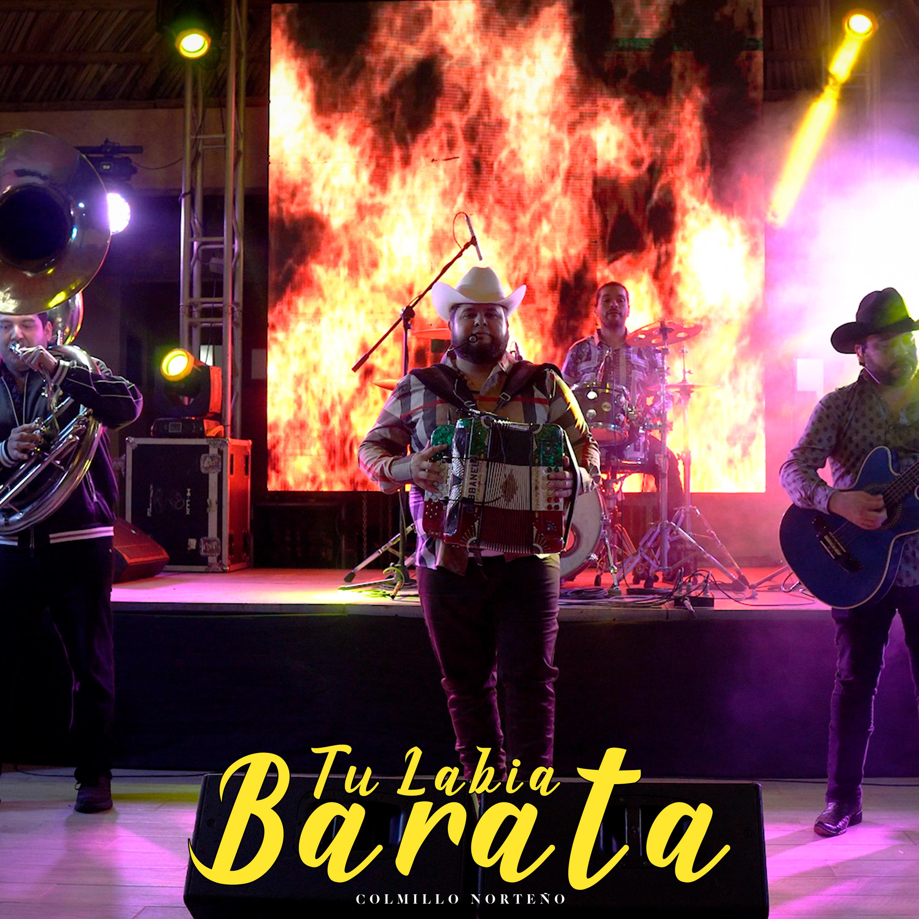 Постер альбома Tu Labia Barata