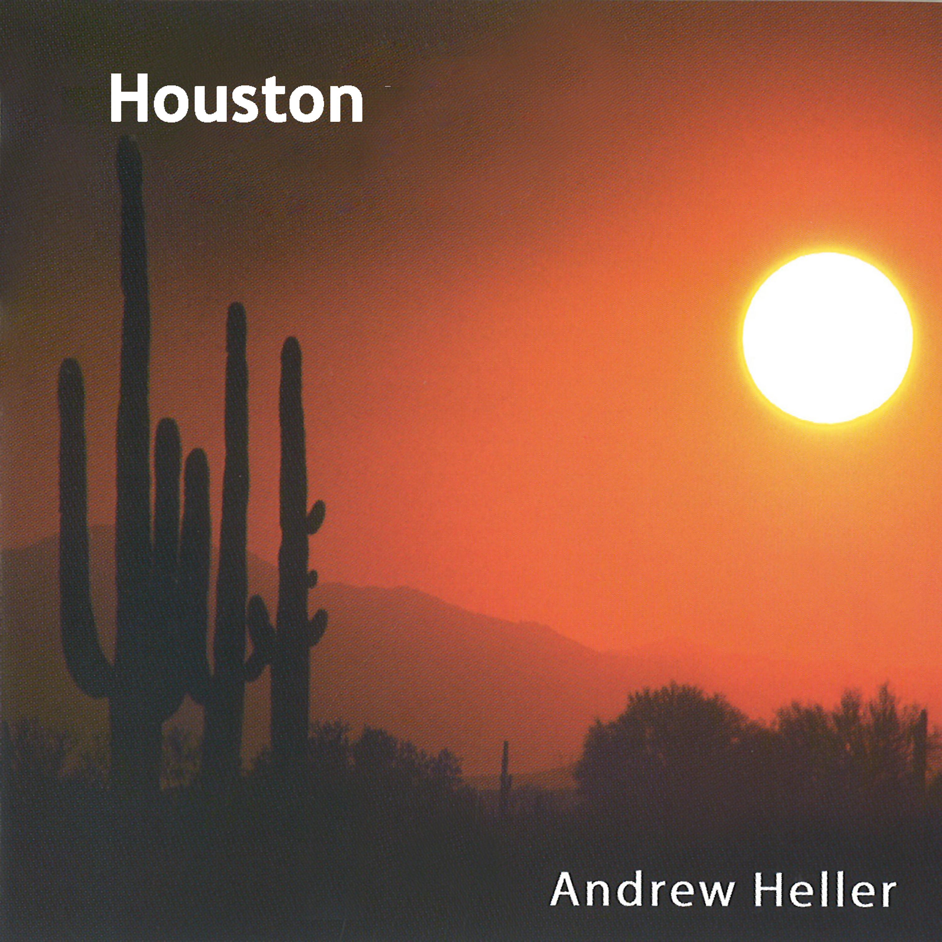 Постер альбома Houston - Single