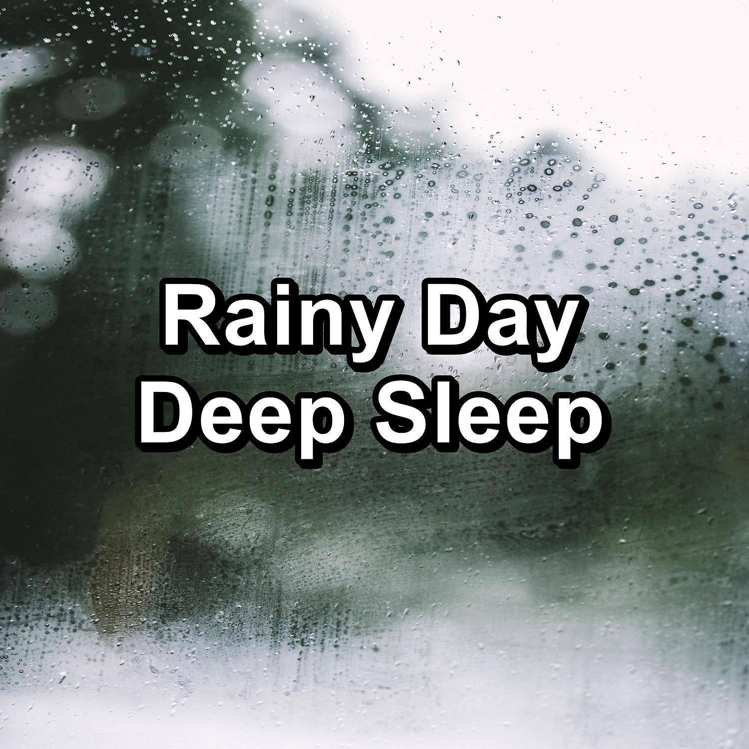 Постер альбома Rainy Day Deep Sleep