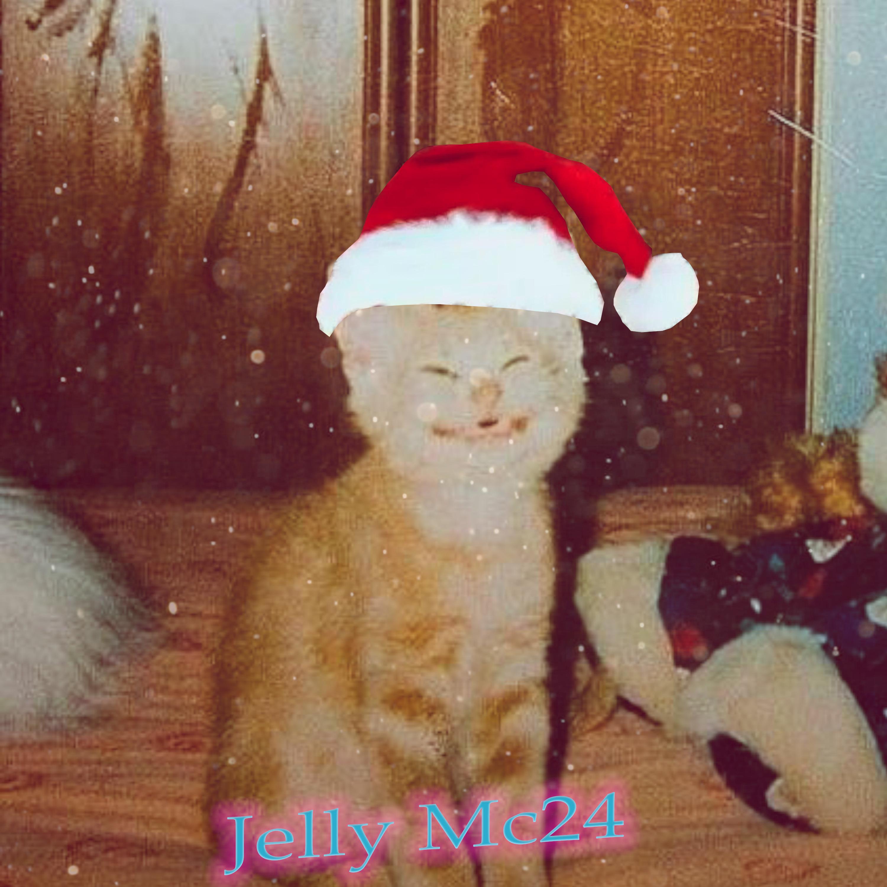 Постер альбома Jelly Mc24