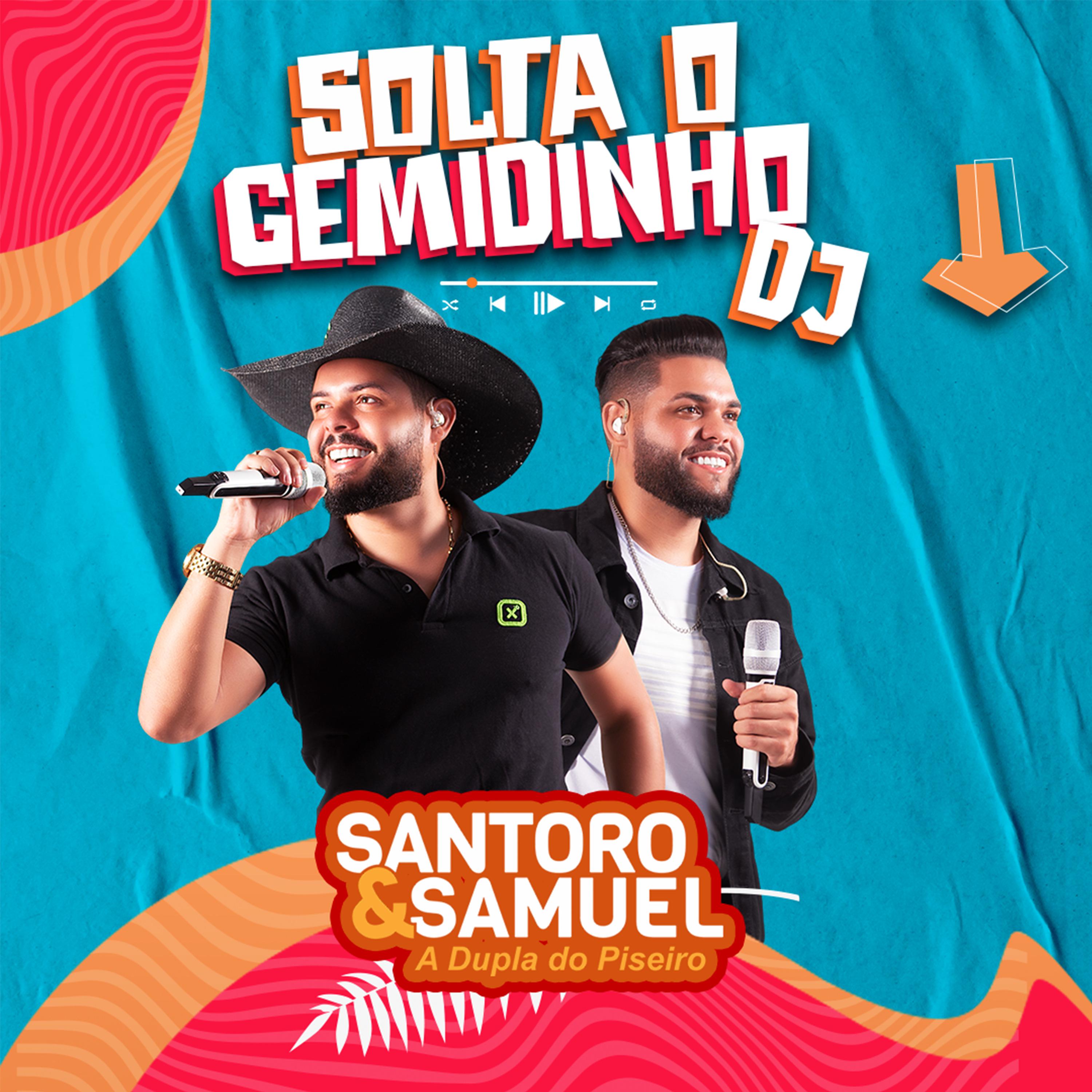 Постер альбома Solta o Gemidinho Dj