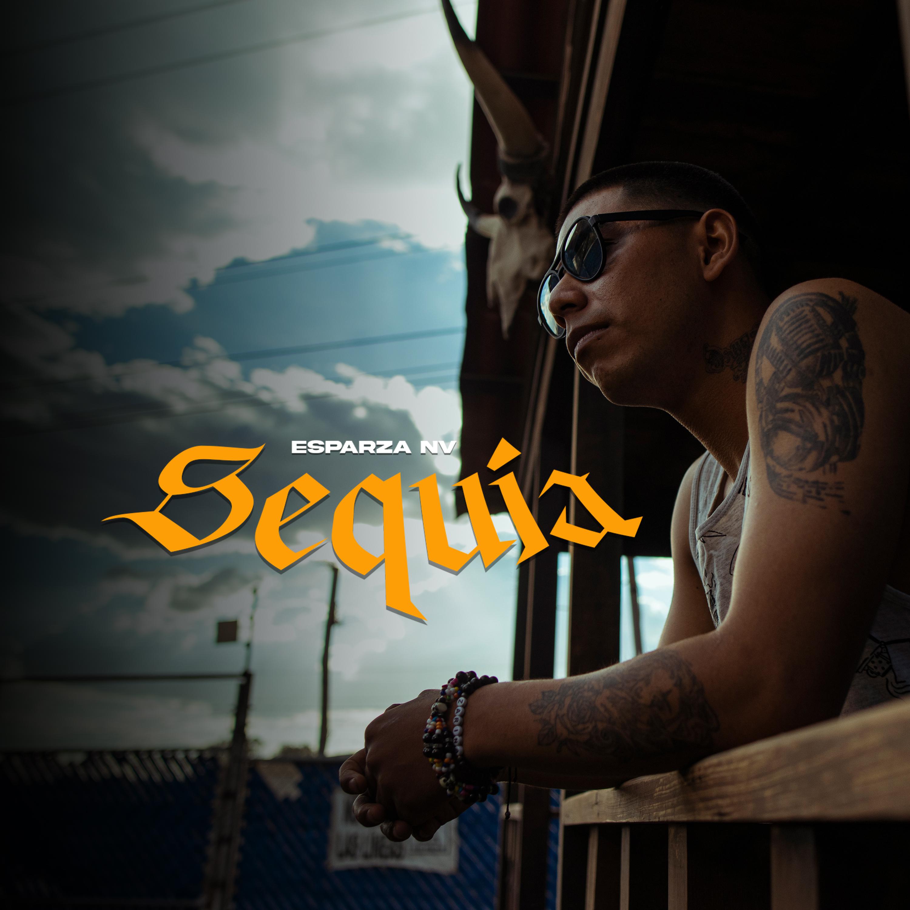 Постер альбома Sequia