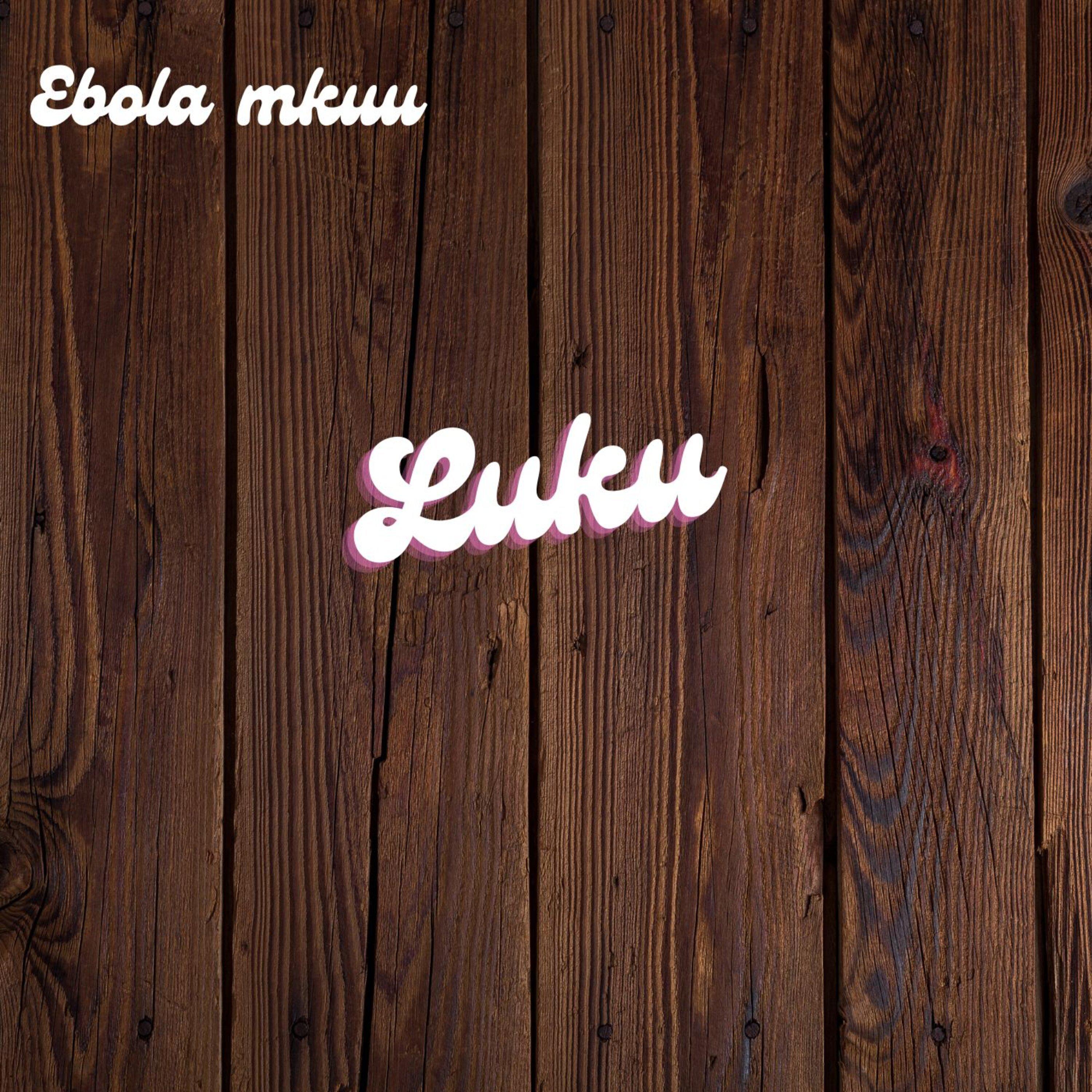 Постер альбома Luku