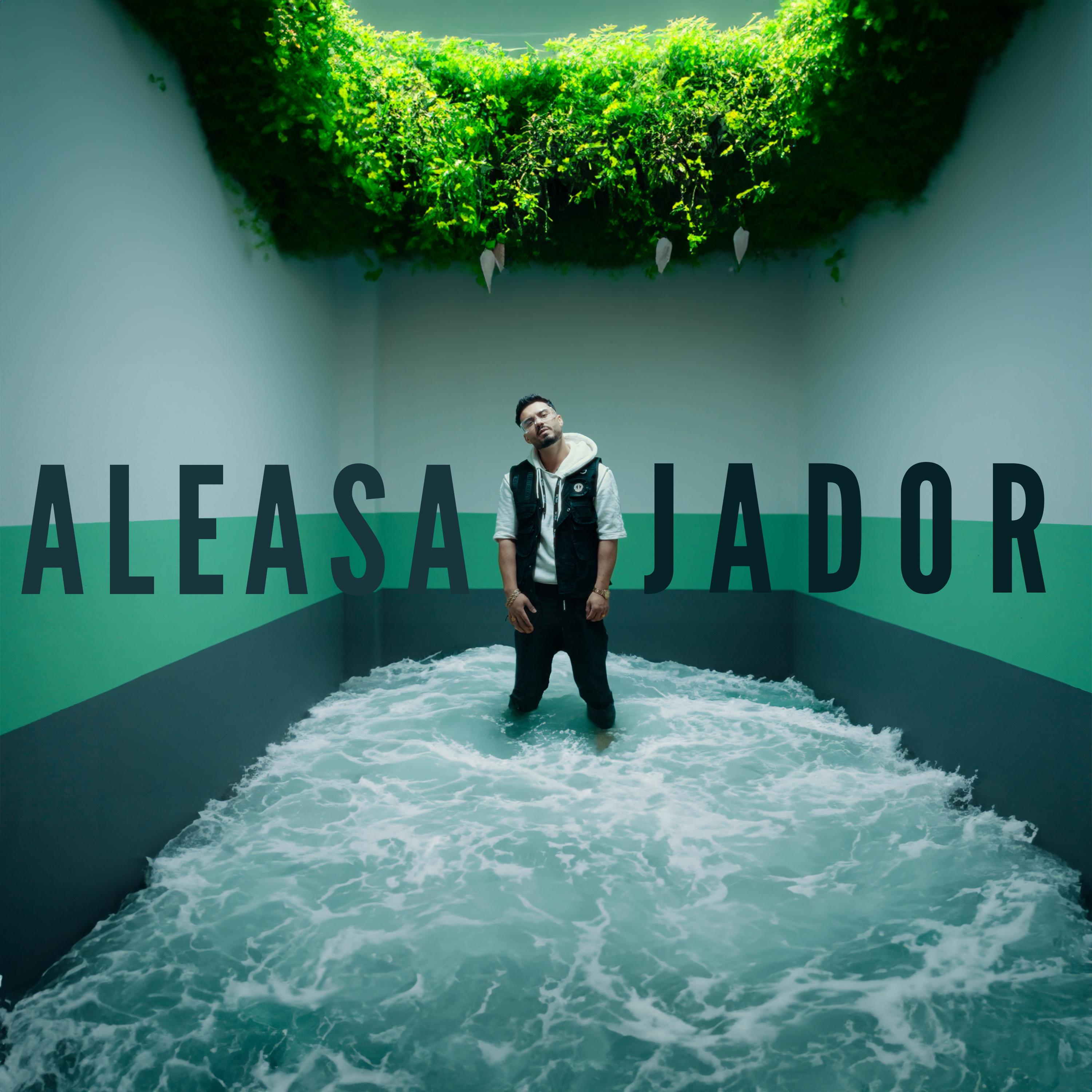 Постер альбома Aleasa