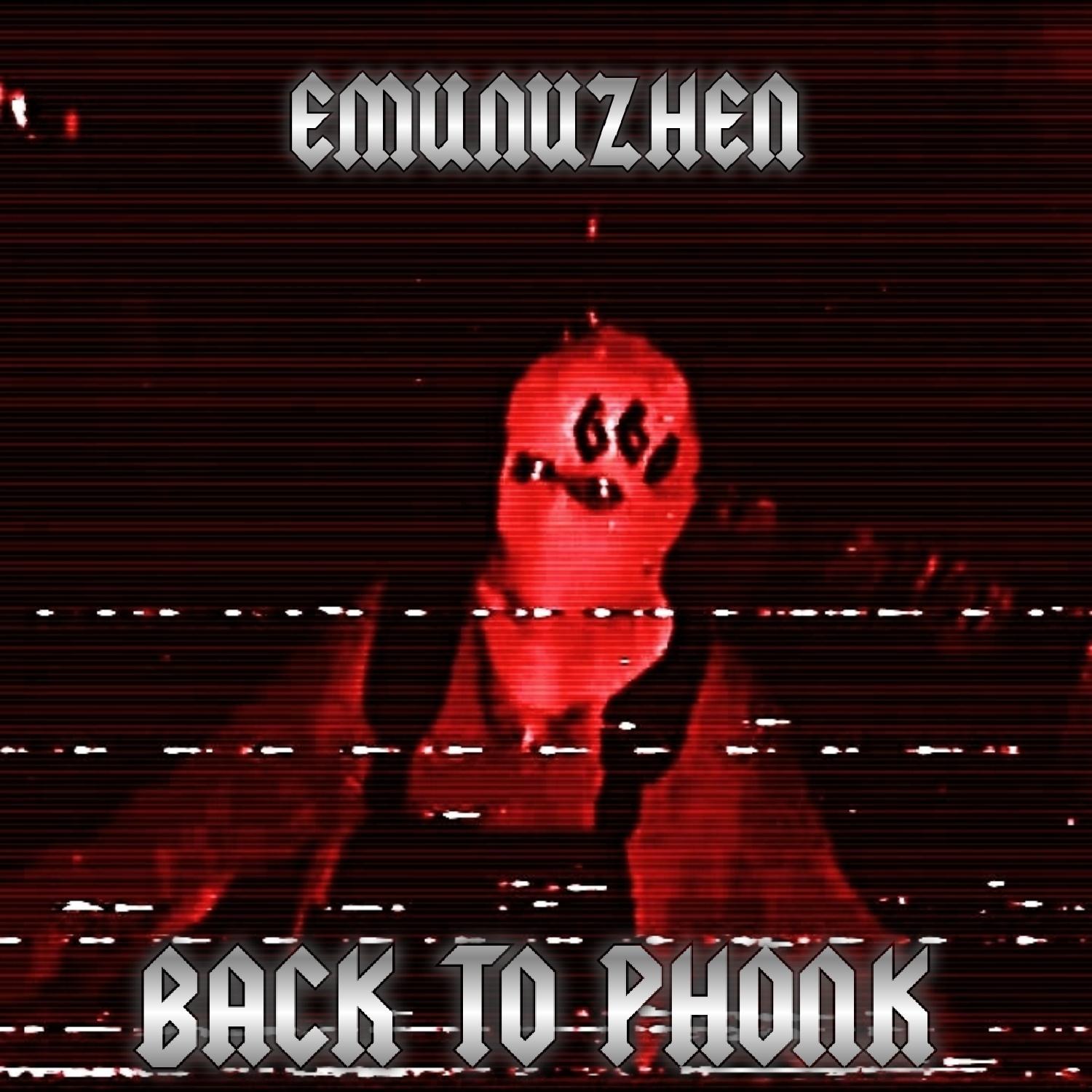 Постер альбома Back to Phonk
