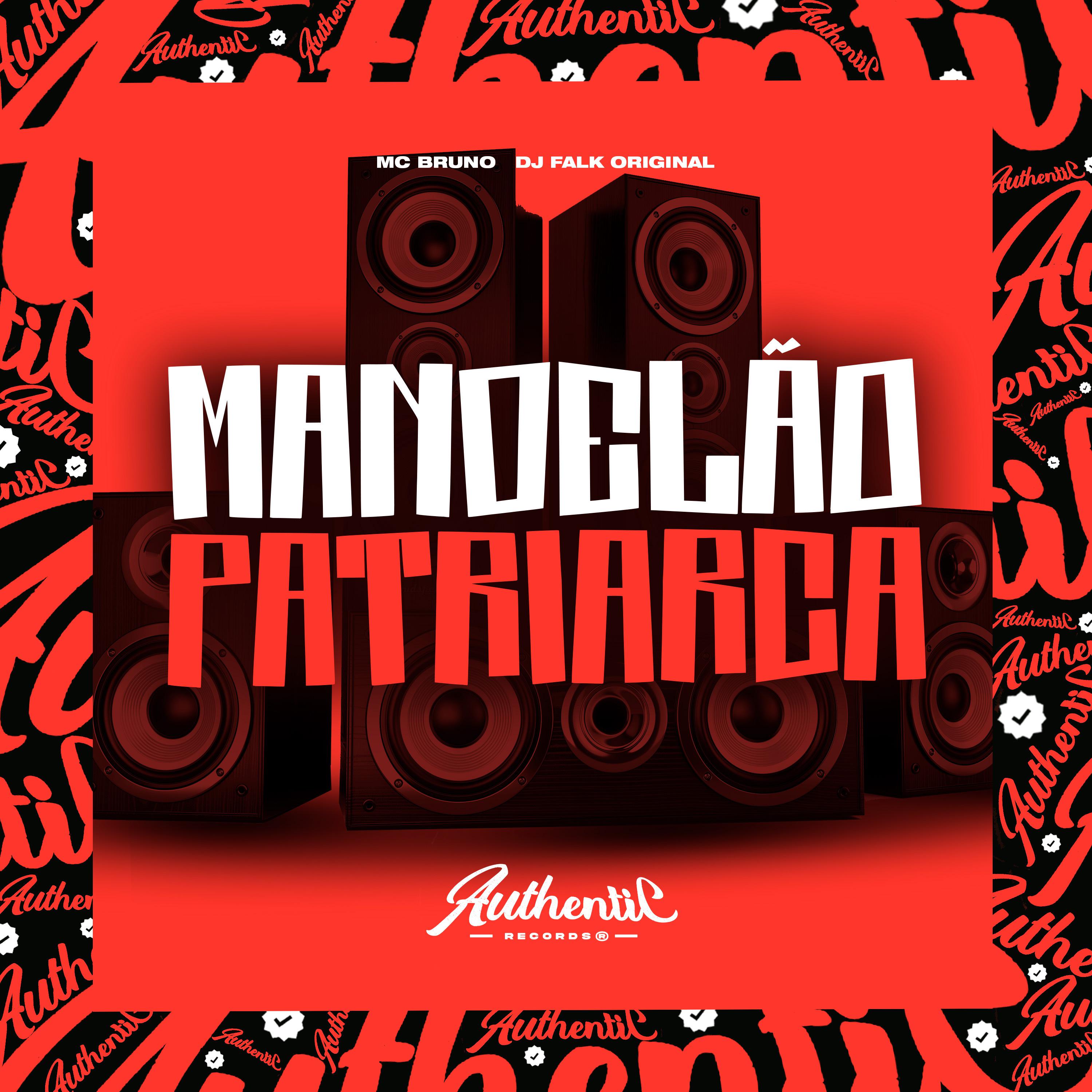 Постер альбома Mandelão Patriarca