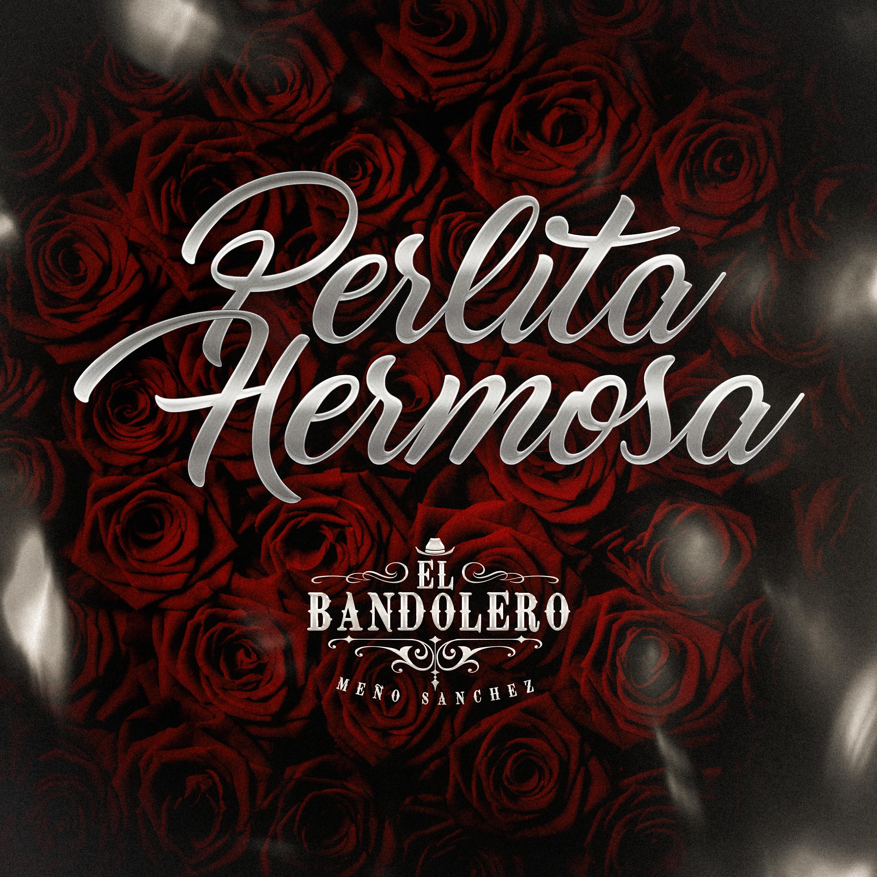 Постер альбома Perlita Hermosa