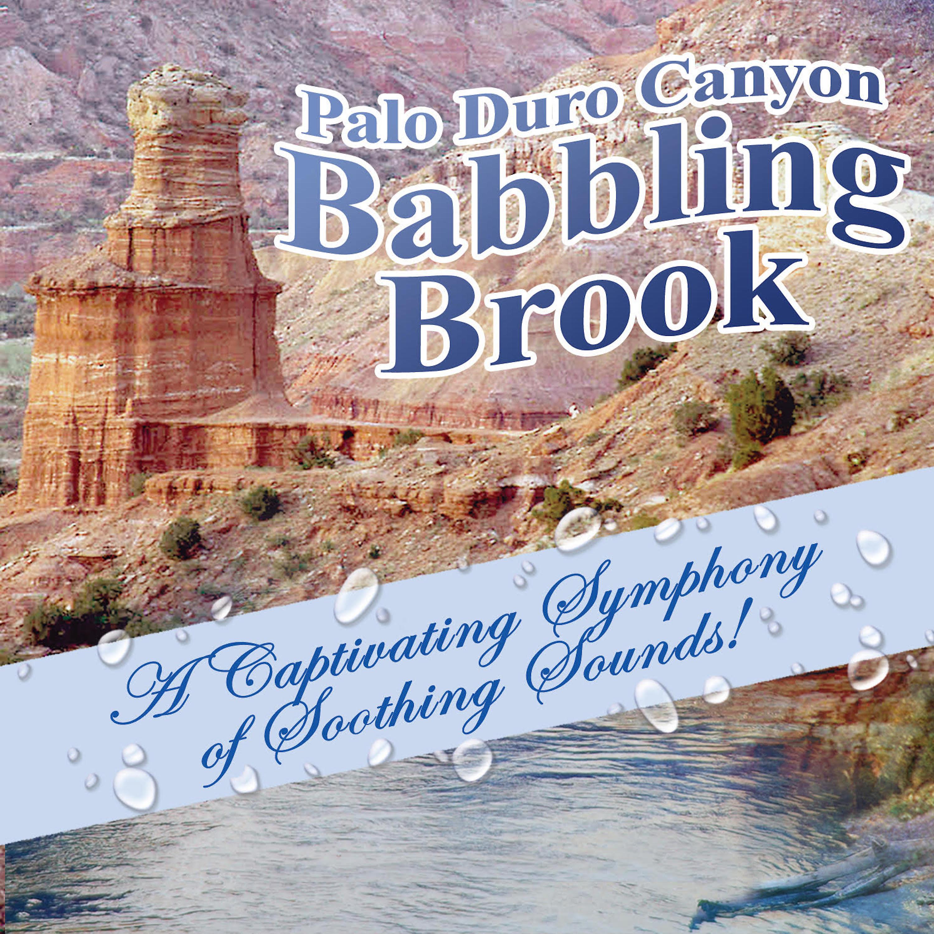 Постер альбома Palo Duro Canyon Babbling Brook