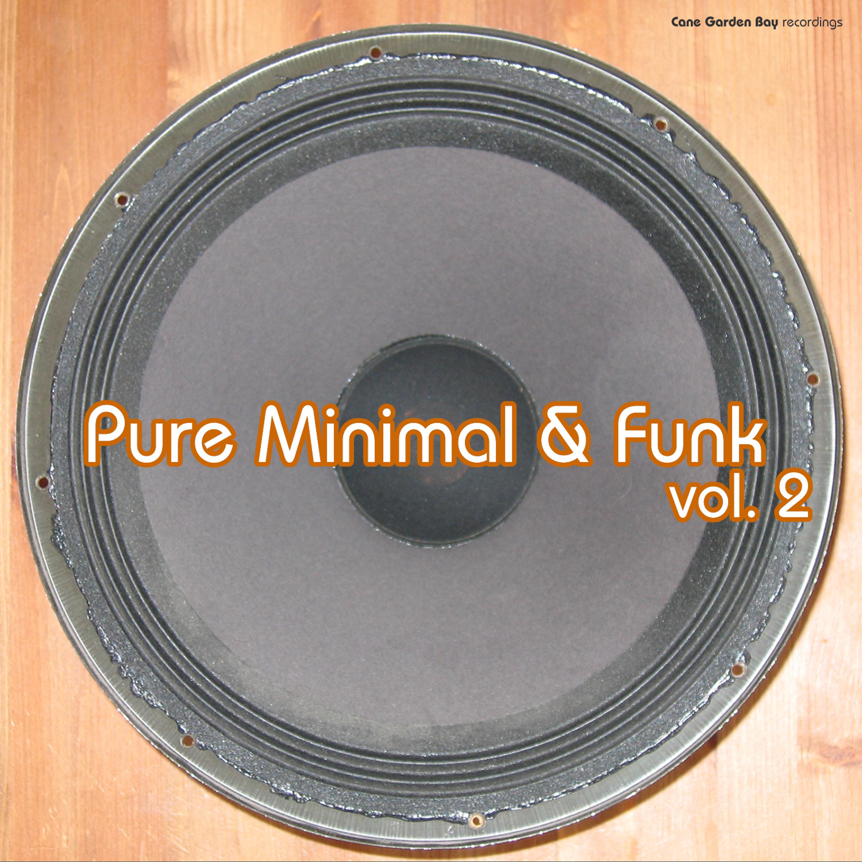 Постер альбома Pure Minimal & Funk, Vol. 2