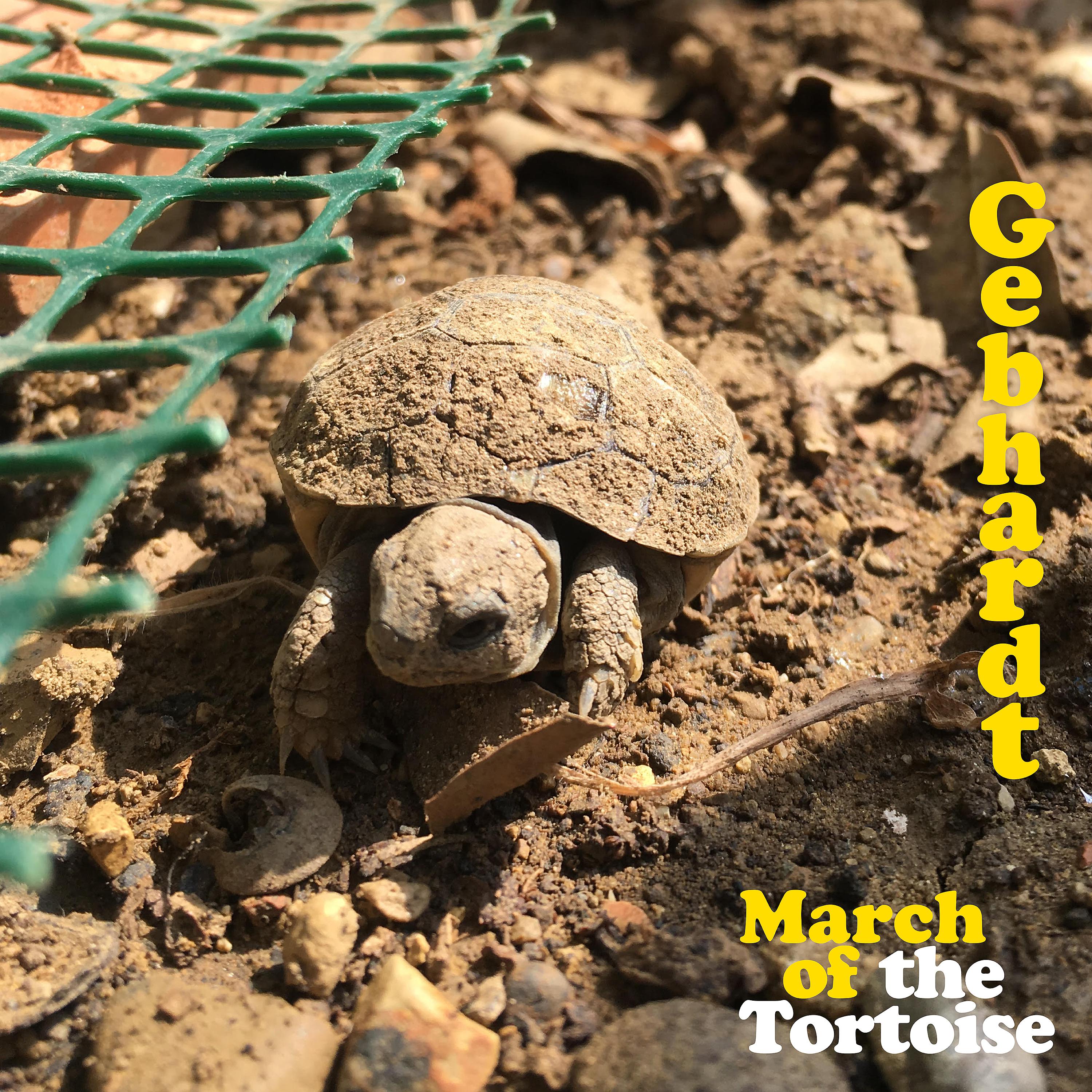 Постер альбома March of the Tortoise