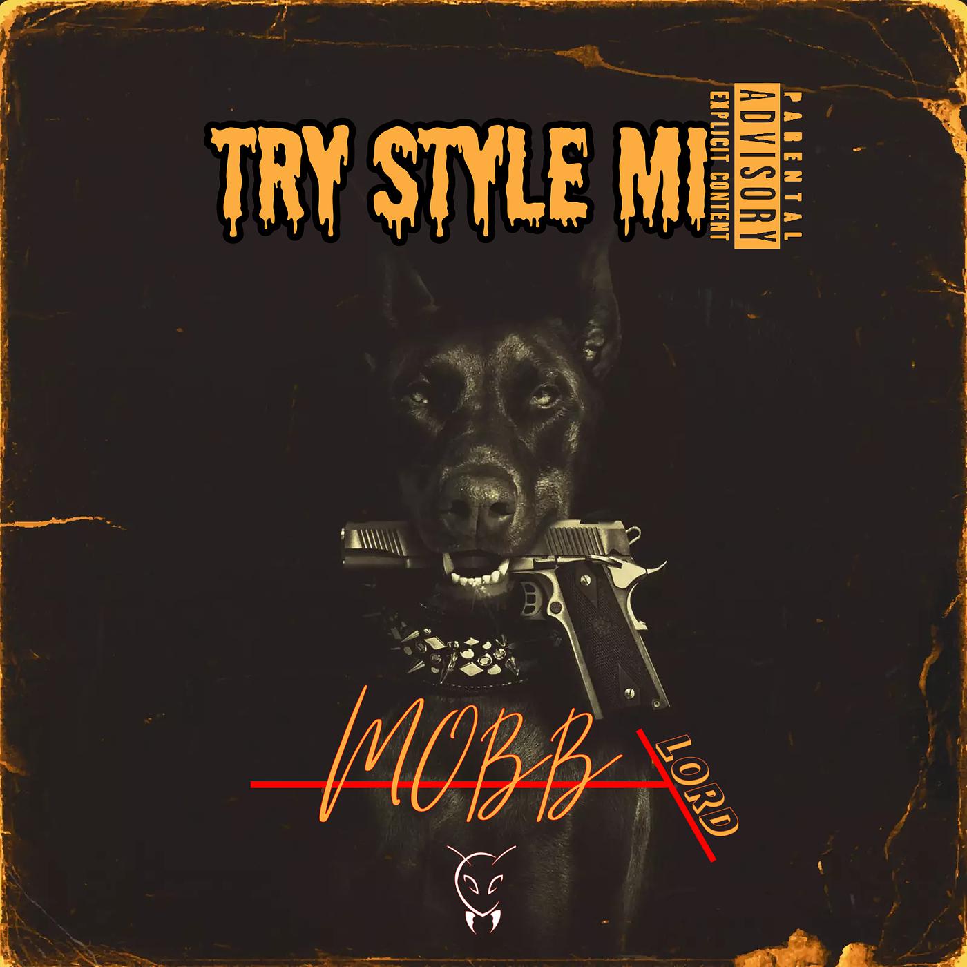 Постер альбома Mobblord Try Style Mi