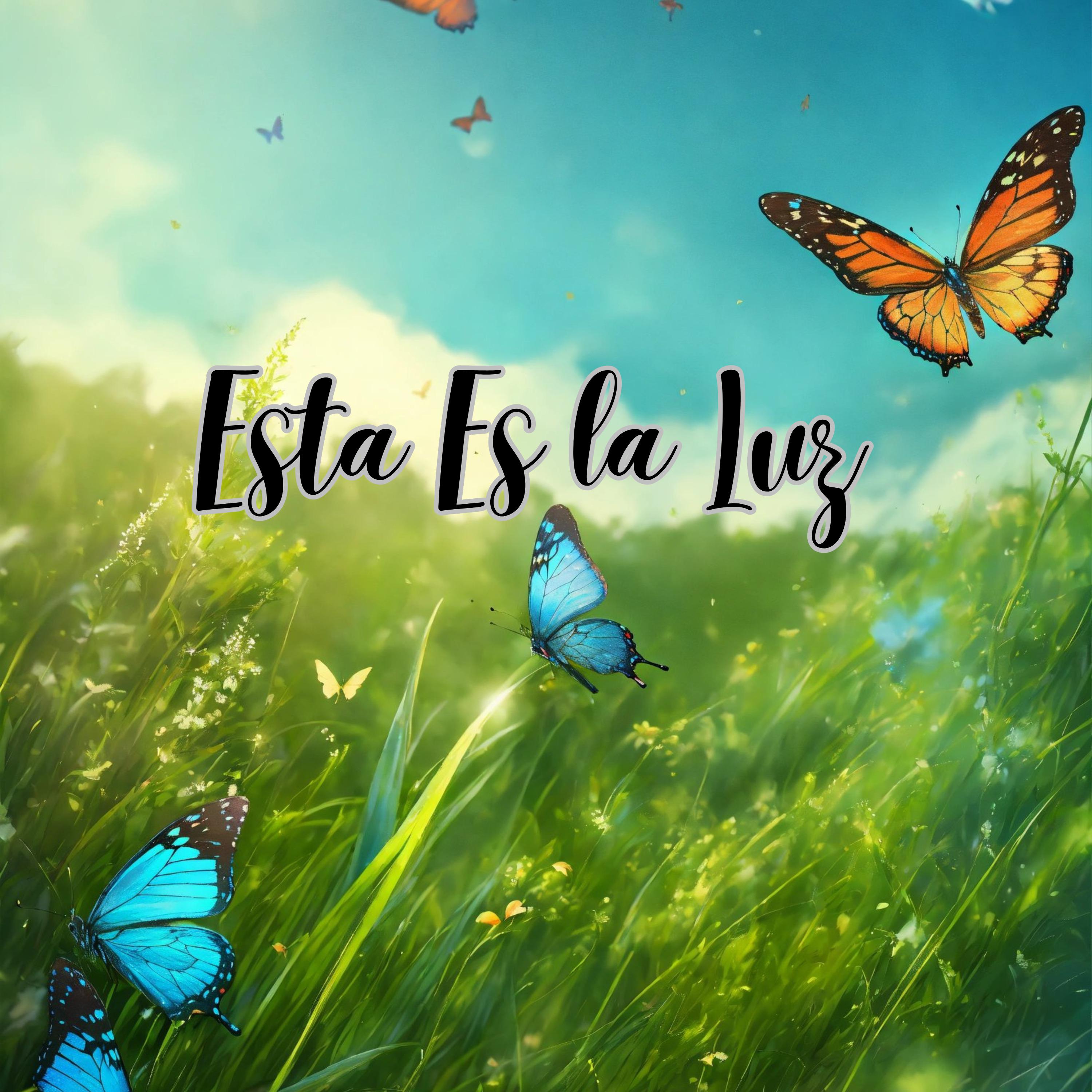 Постер альбома Esta Es la Luz
