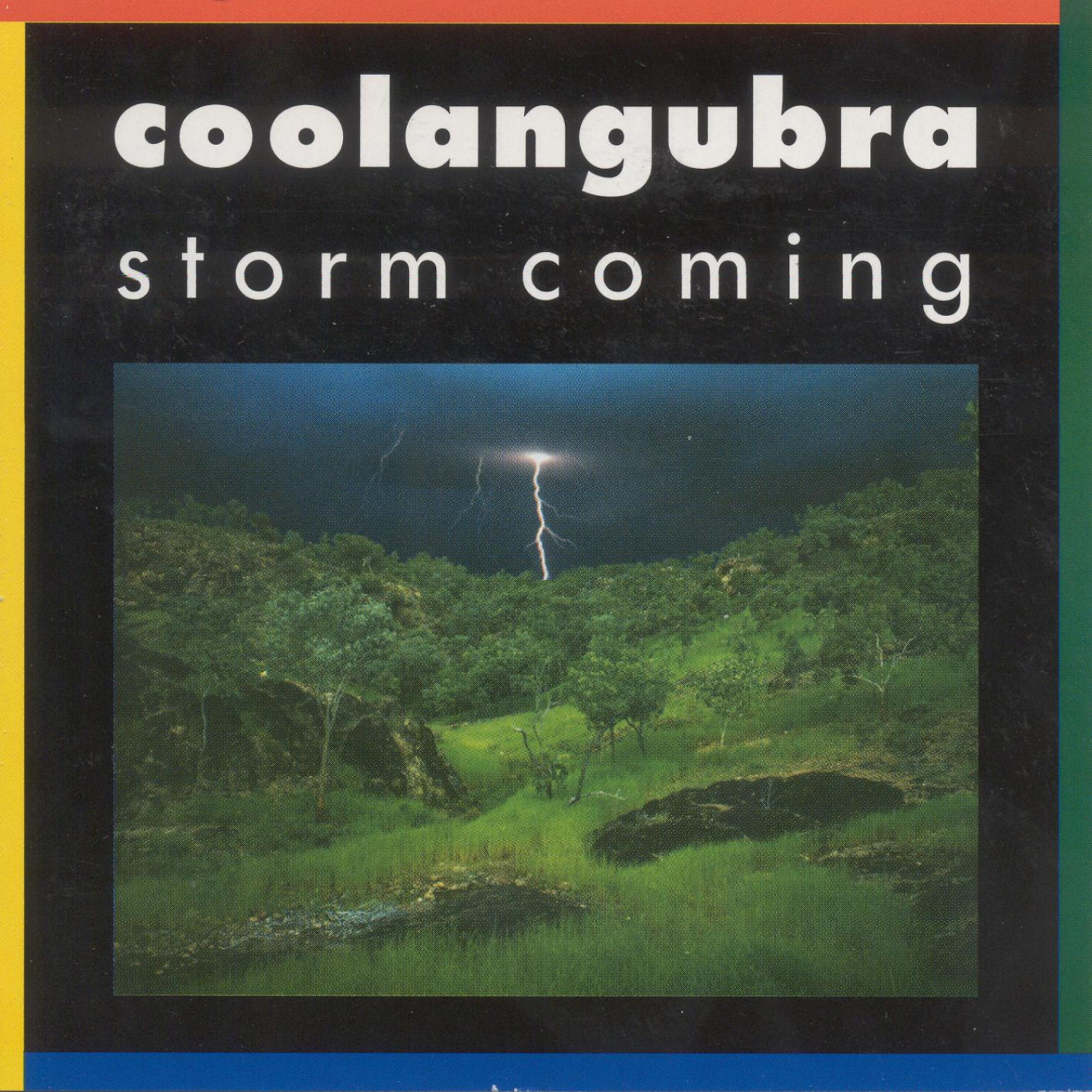 Постер альбома Storm Coming