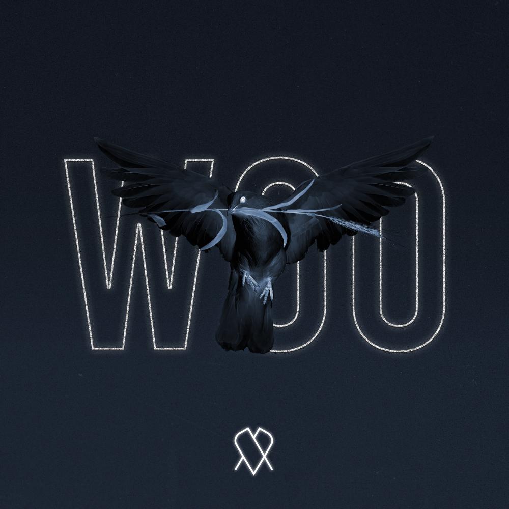 Постер альбома Woo