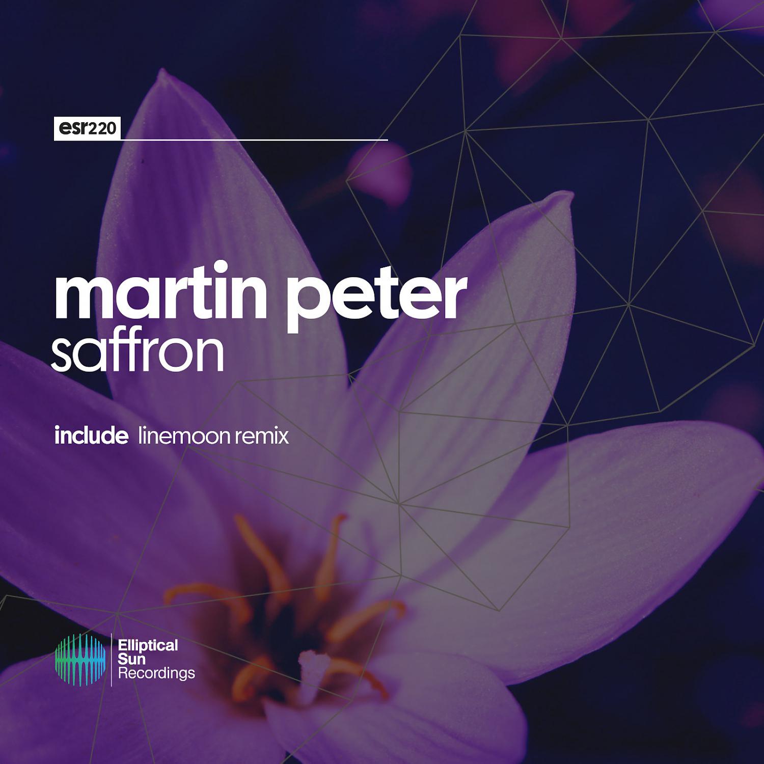 Постер альбома Saffron