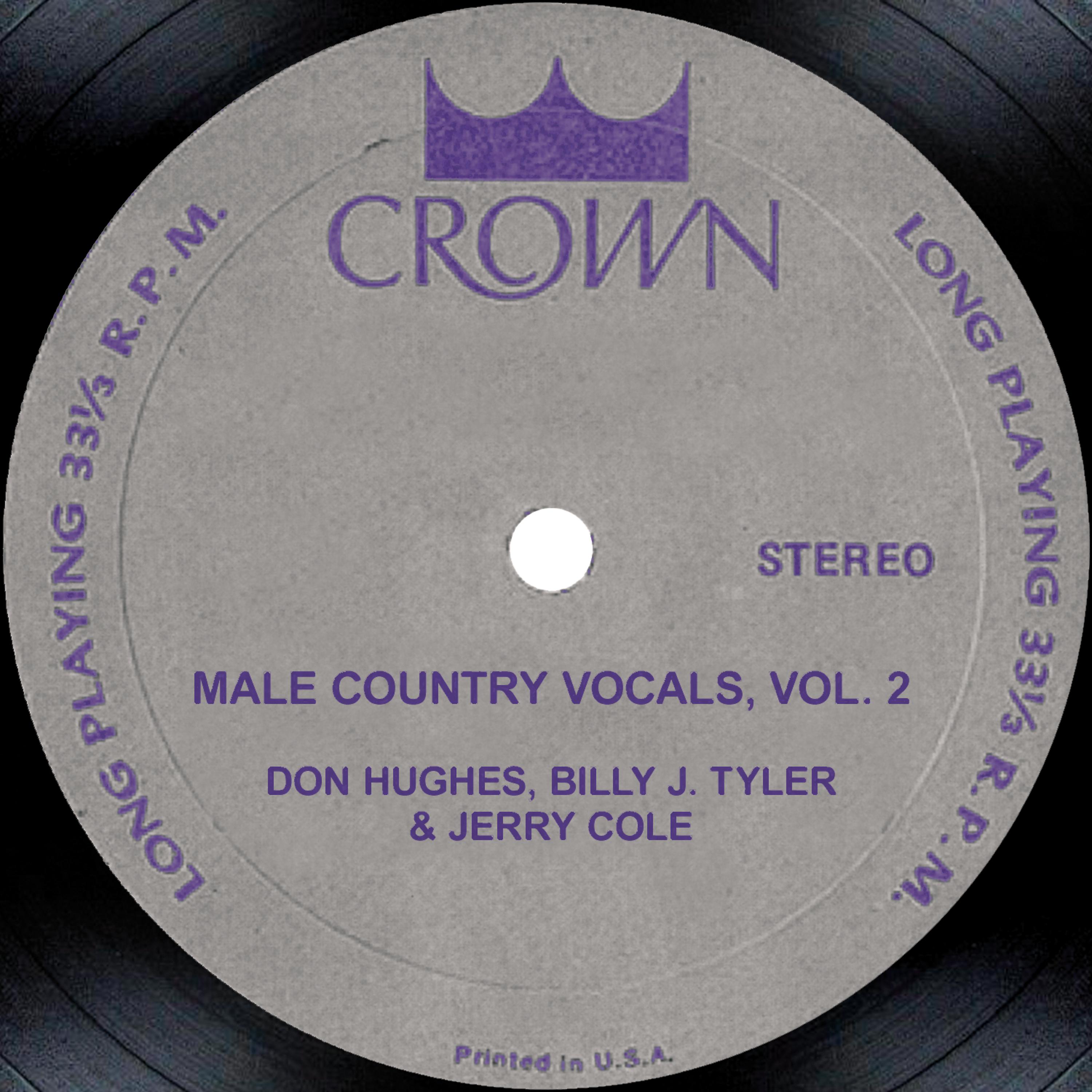 Постер альбома Male Country Vocals, Vol. 2