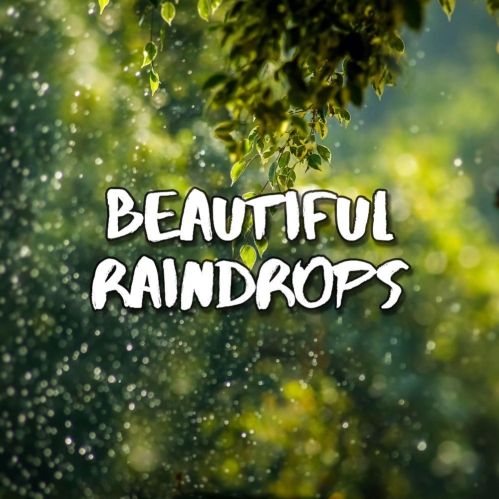 Постер альбома Beautiful Raindrops
