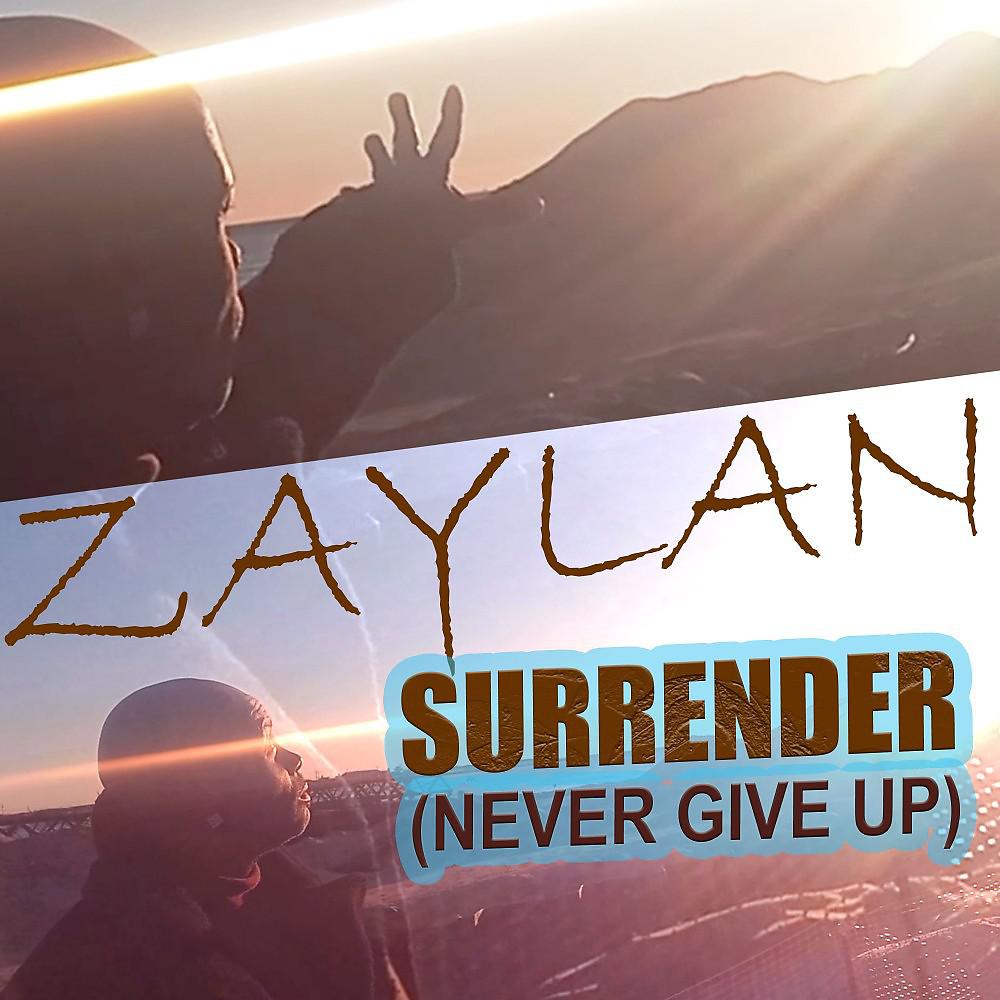 Постер альбома Surrender (Never Give Up)