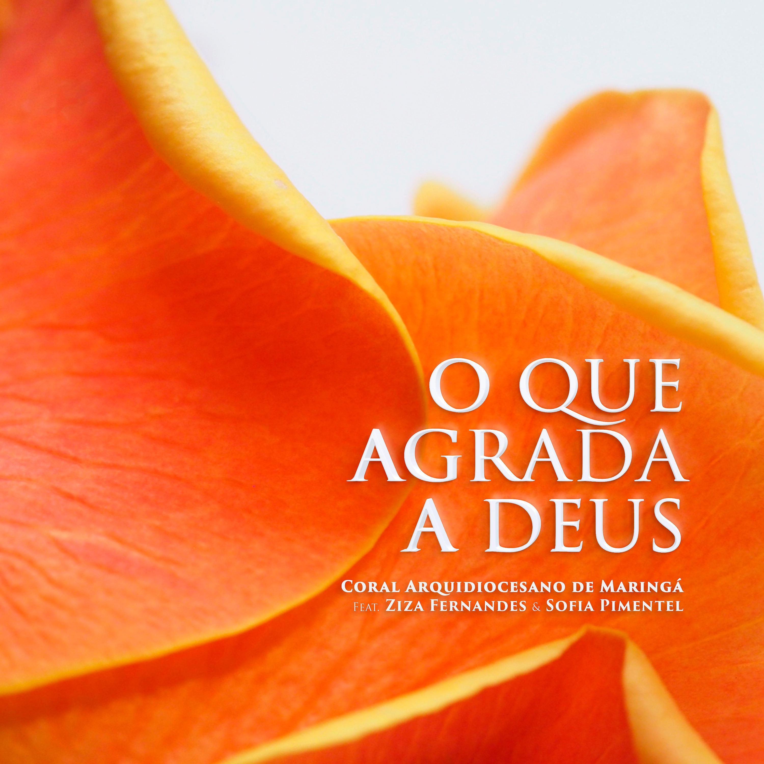 Постер альбома O Que Agrada a Deus