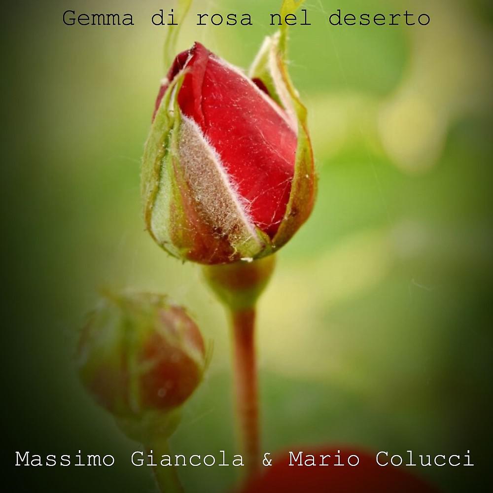 Постер альбома Gemma di rosa nel deserto