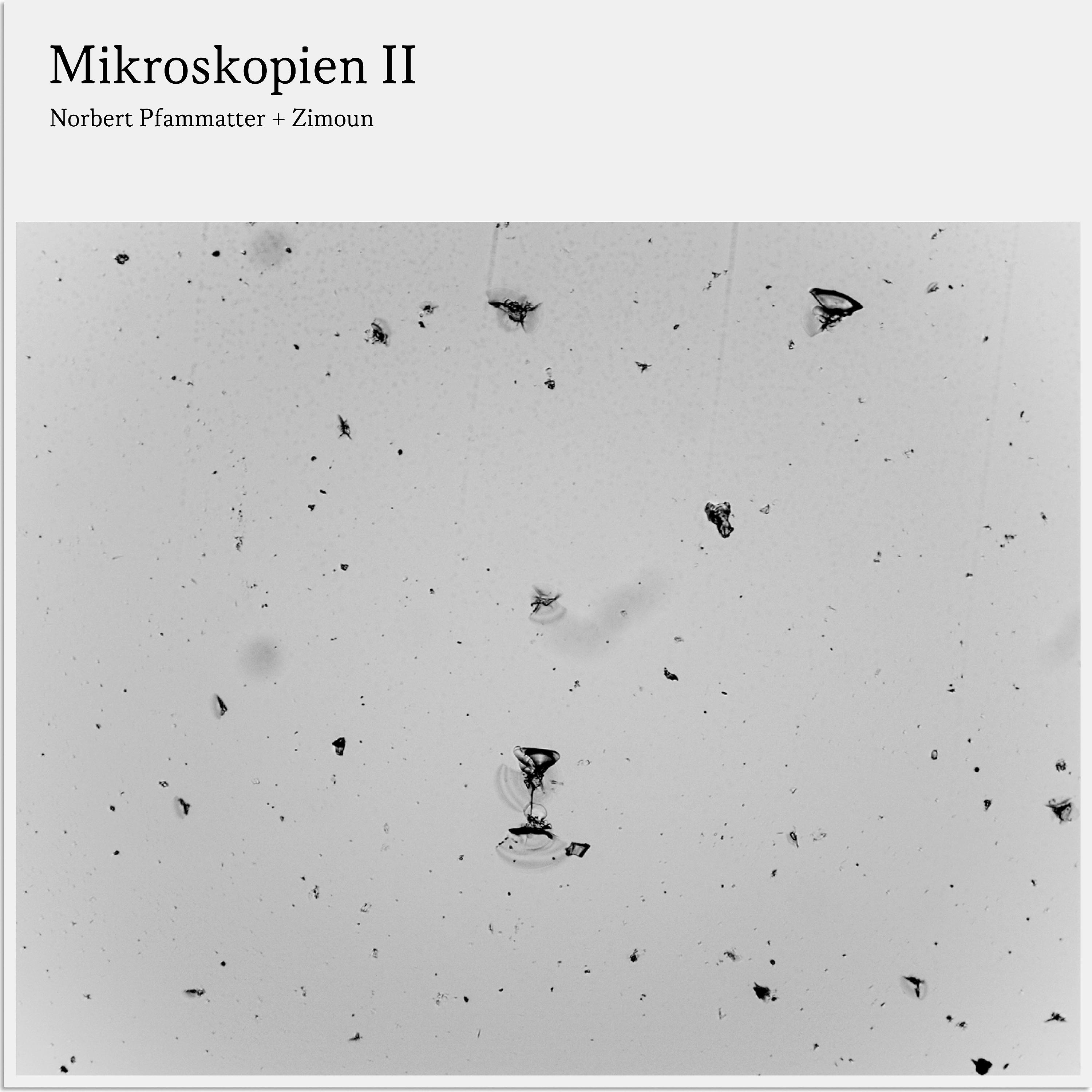 Постер альбома Mikroskopien II
