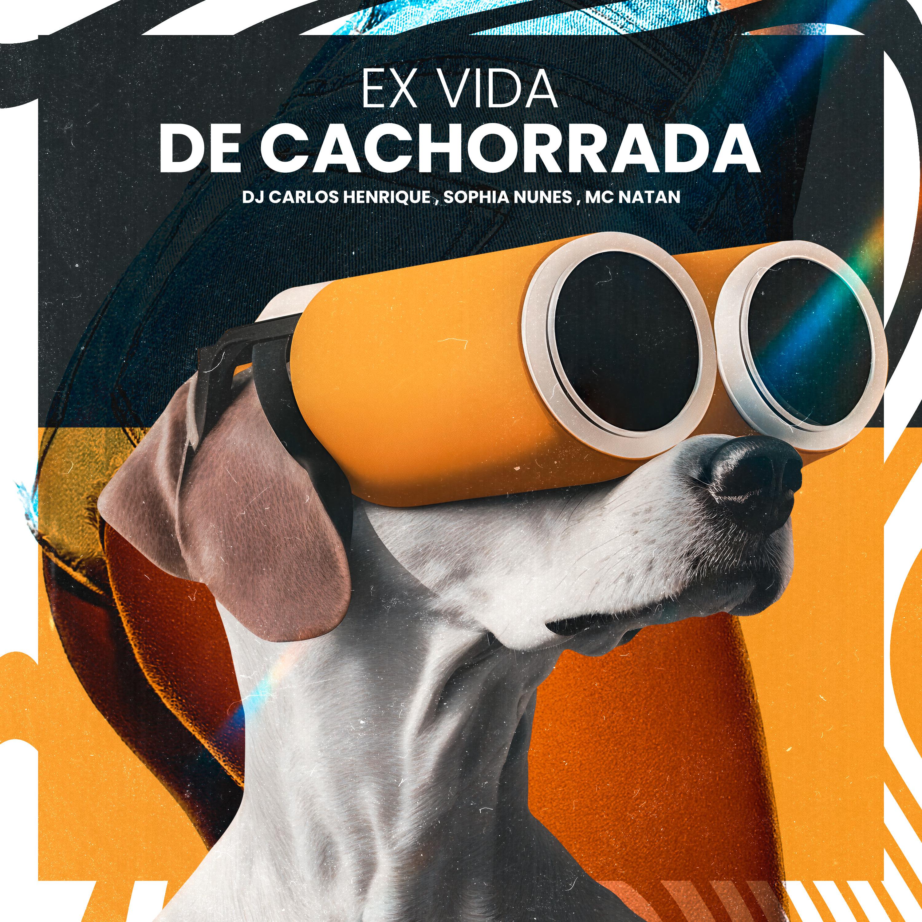 Постер альбома Ex Vida de Cachorrada