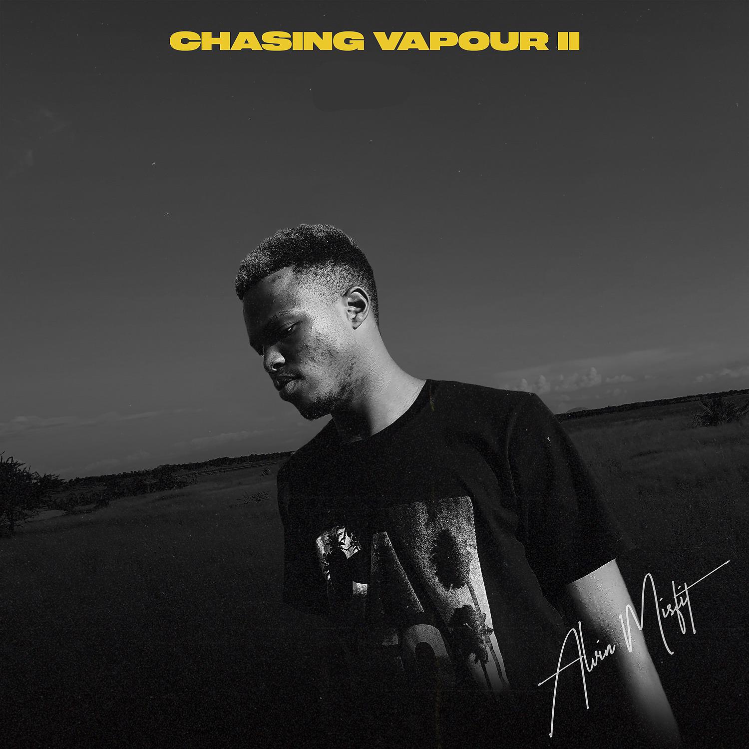 Постер альбома Chasing Vapour II