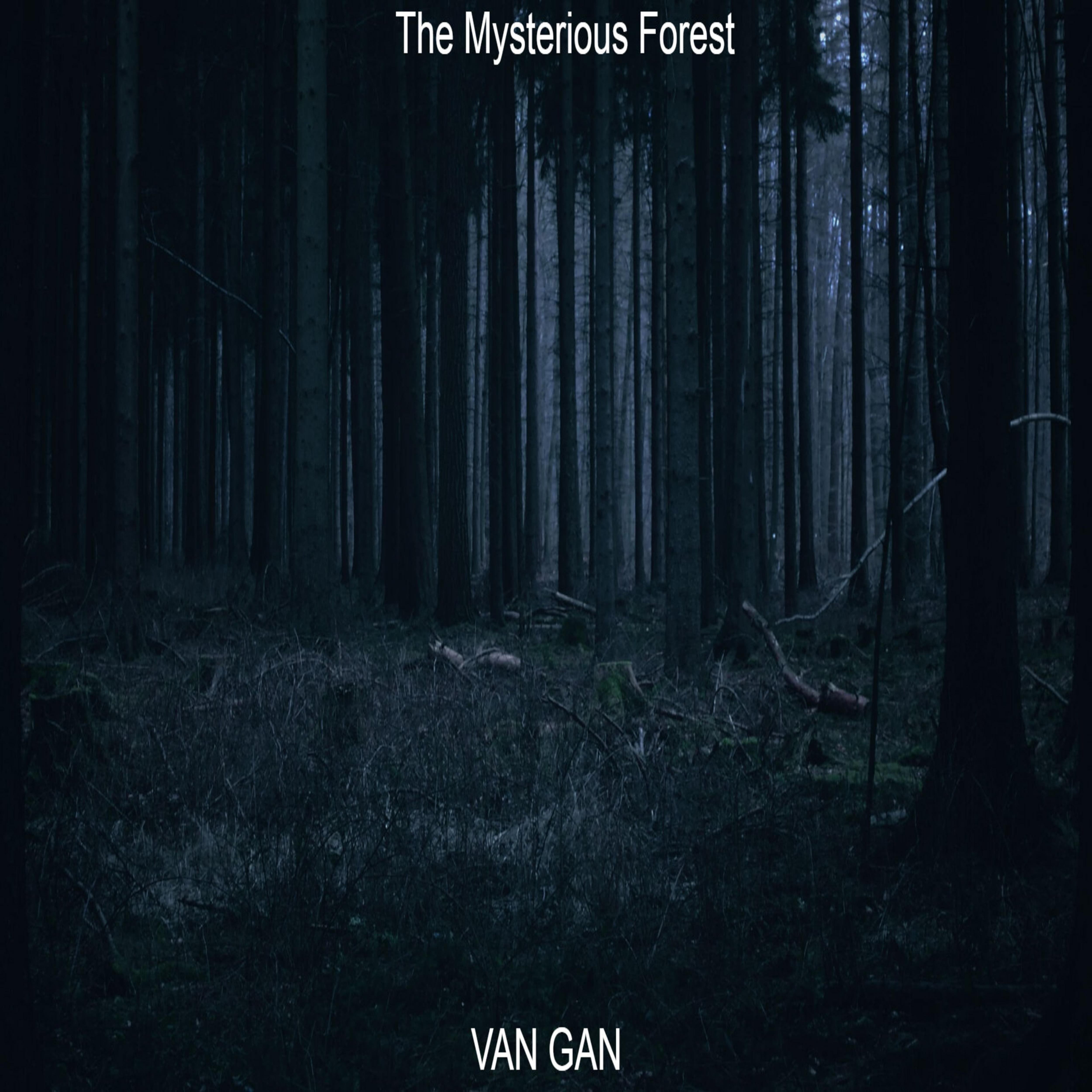 Постер альбома The Mysterious Forest