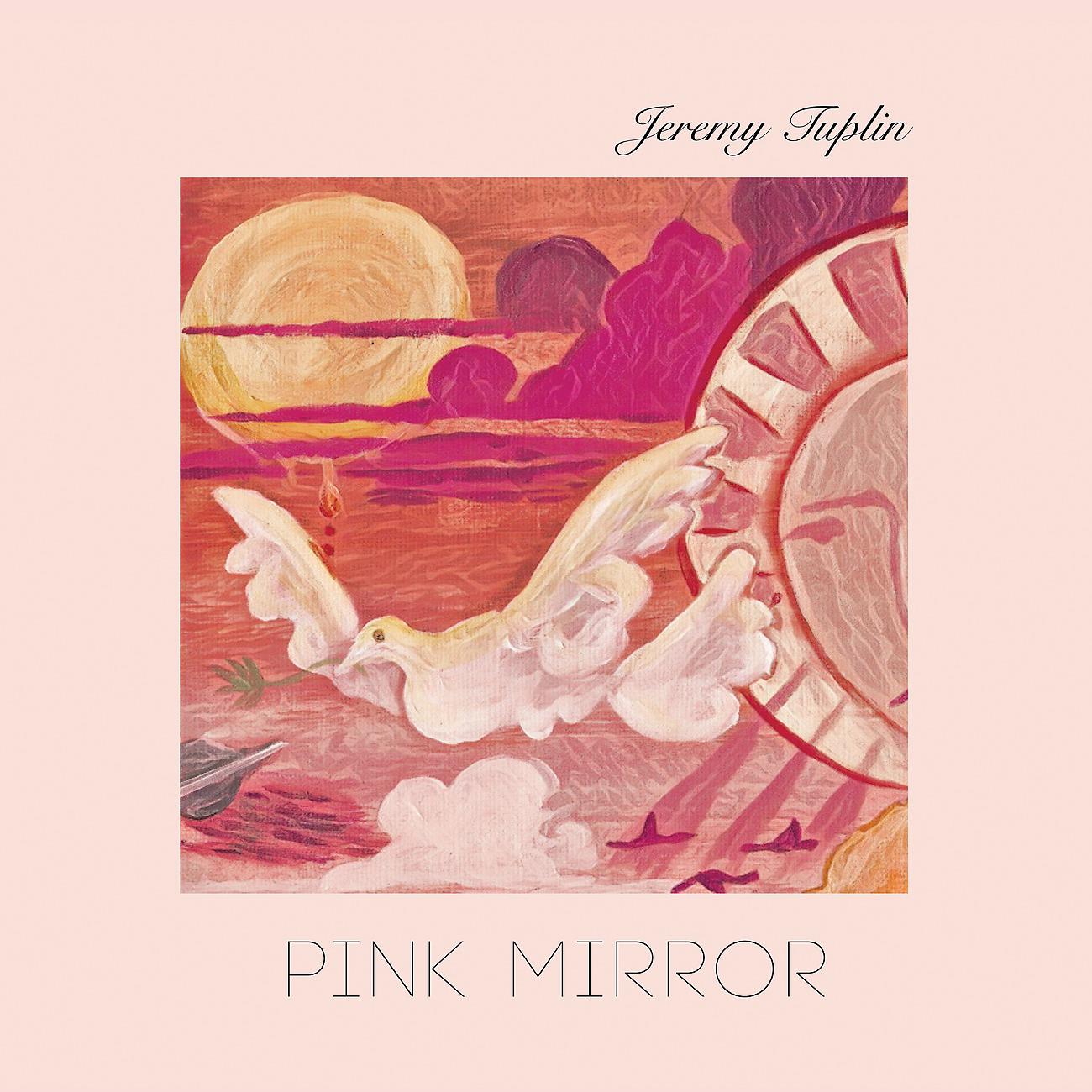 Постер альбома Pink Mirror