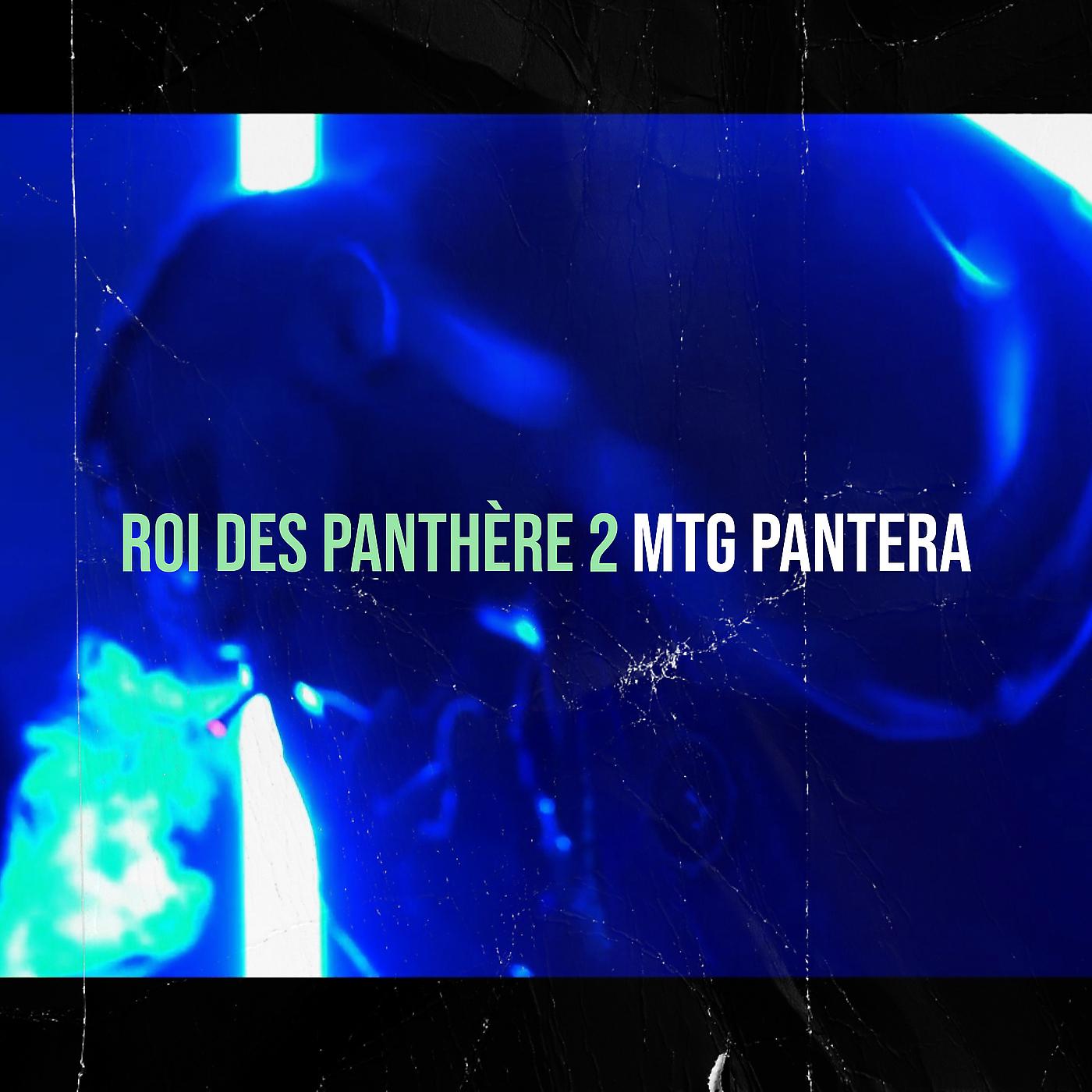 Постер альбома Roi Des Panthère 2