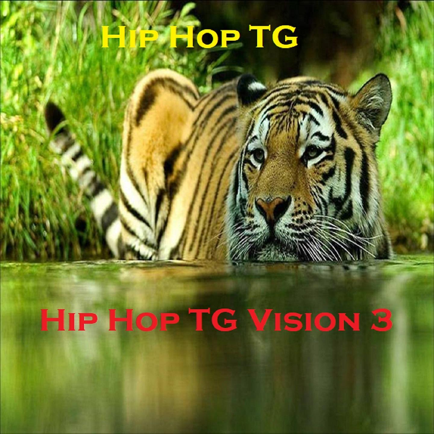 Постер альбома Hip Hop TG VISION 3