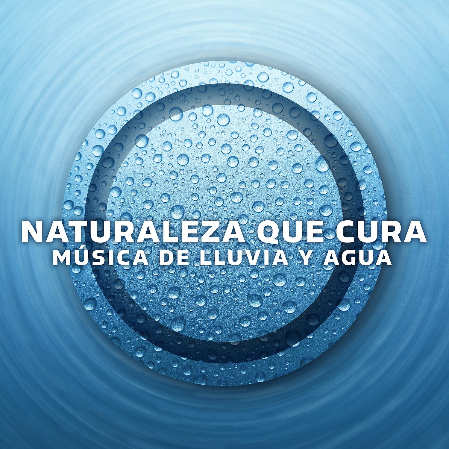 Постер альбома Naturaleza que Cura: Música de Lluvia y Agua