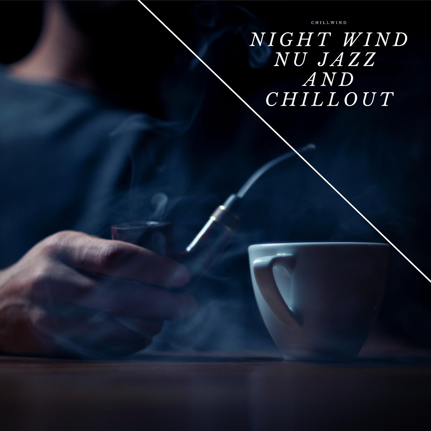 Постер альбома Night Wind Nu Jazz and Chillout