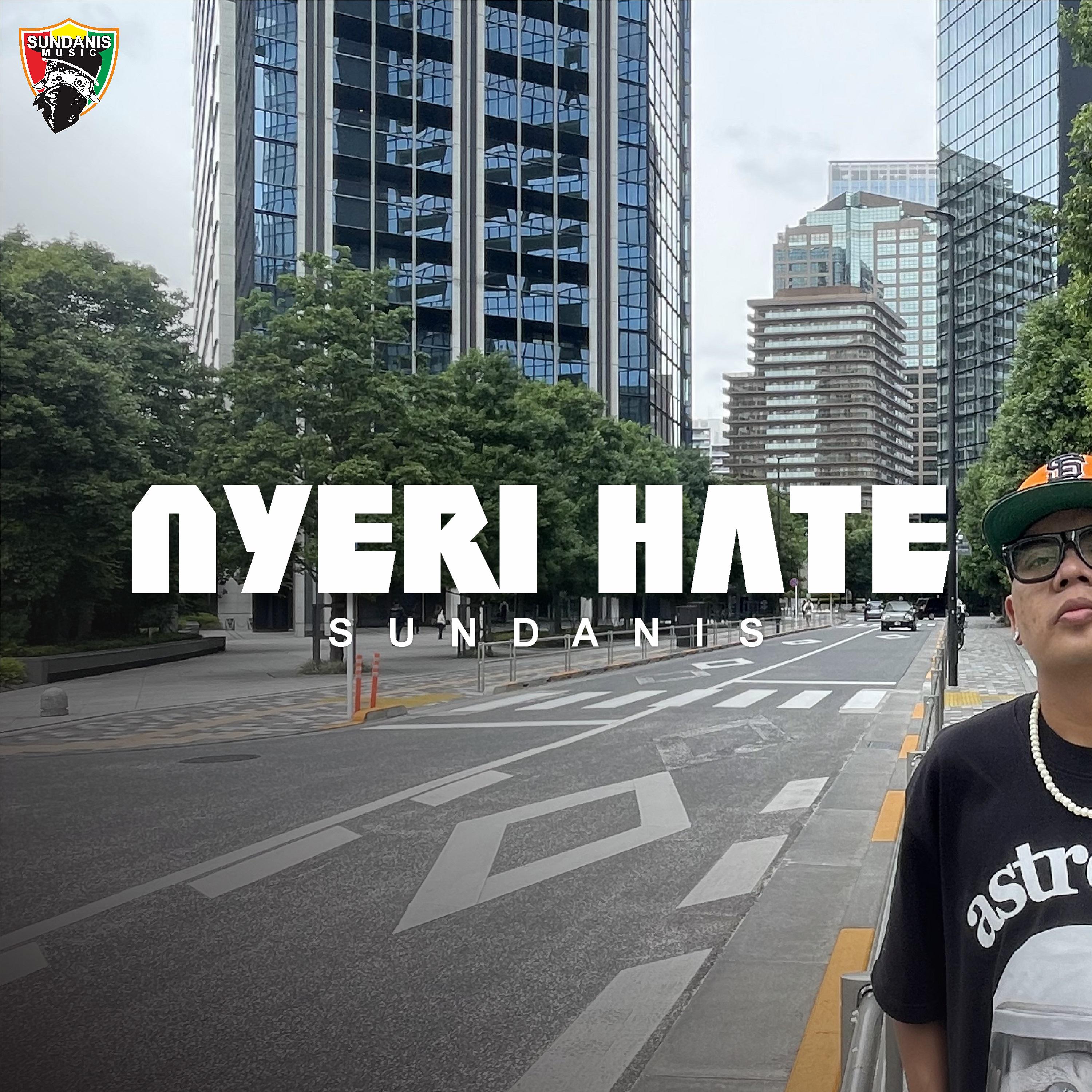 Постер альбома Nyeri Hate